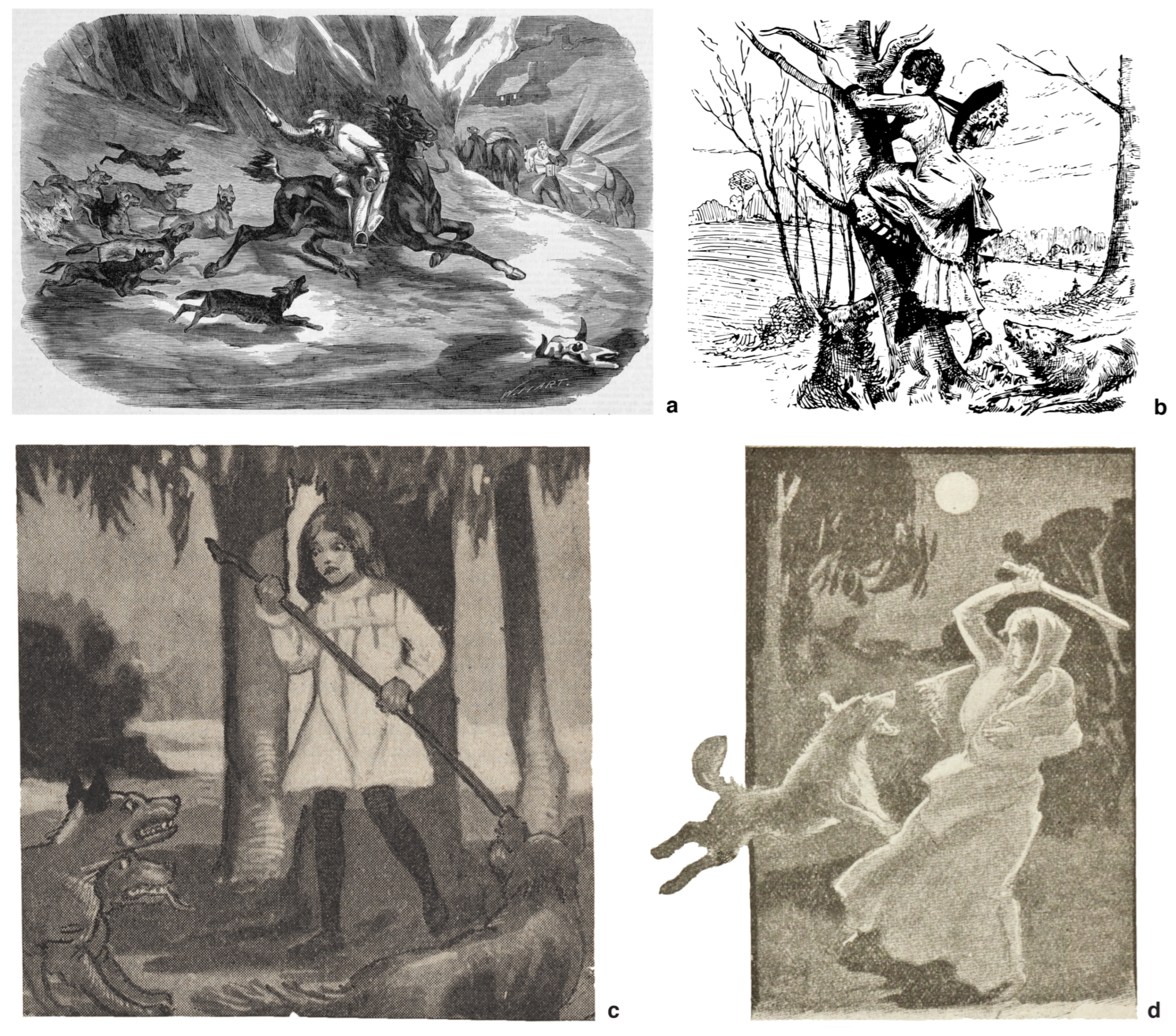 Animals 12 02285 g003 Animals 12 02285 g003