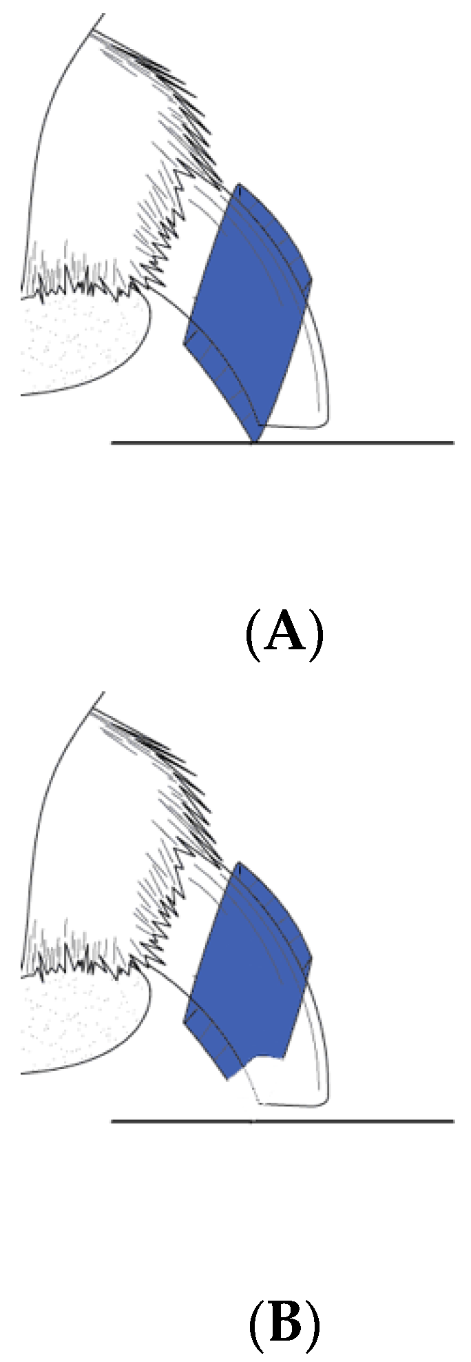 Animals 12 02312 g001