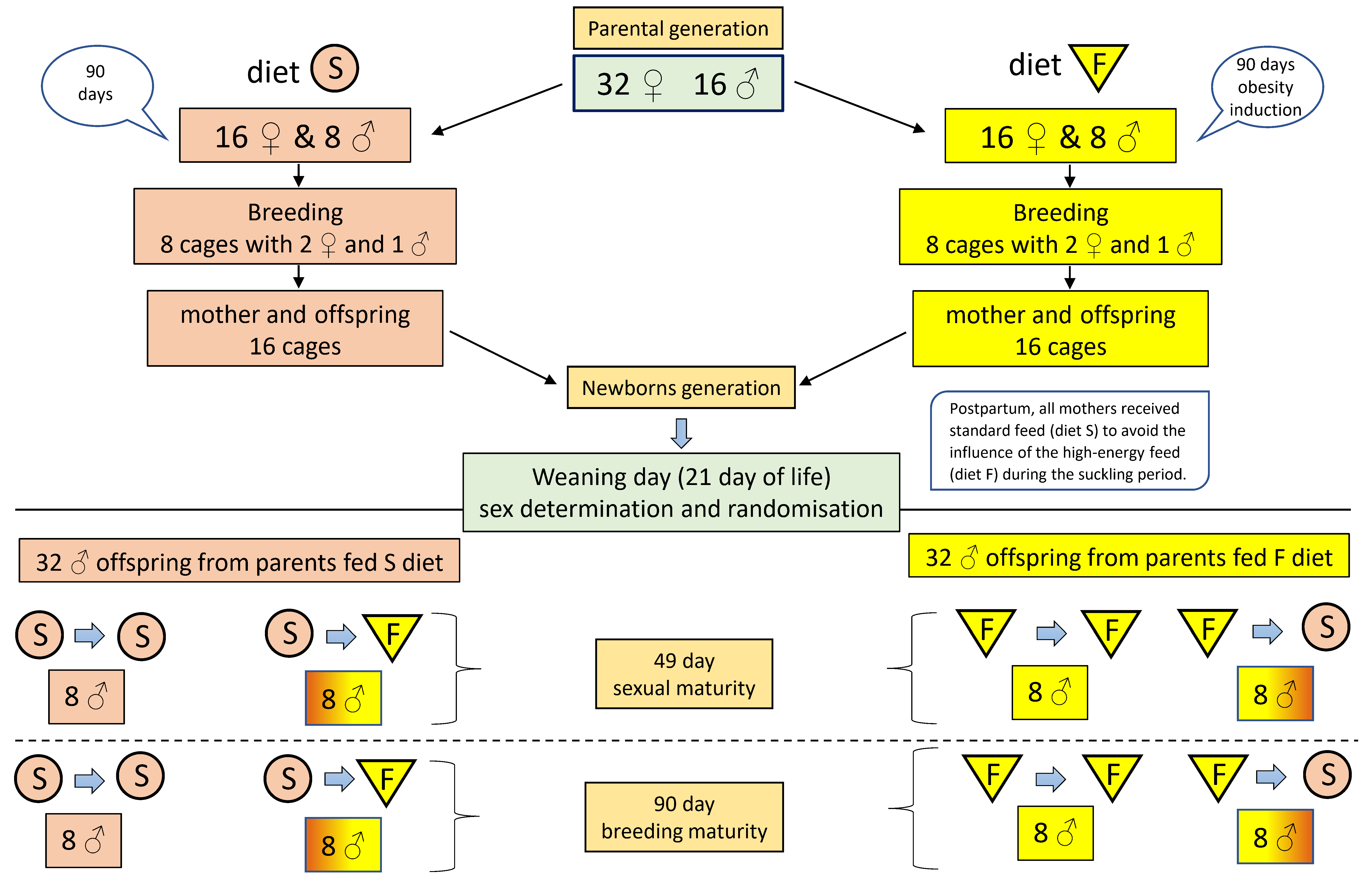 Animals 12 02314 g001 Animals 12 02314 g001