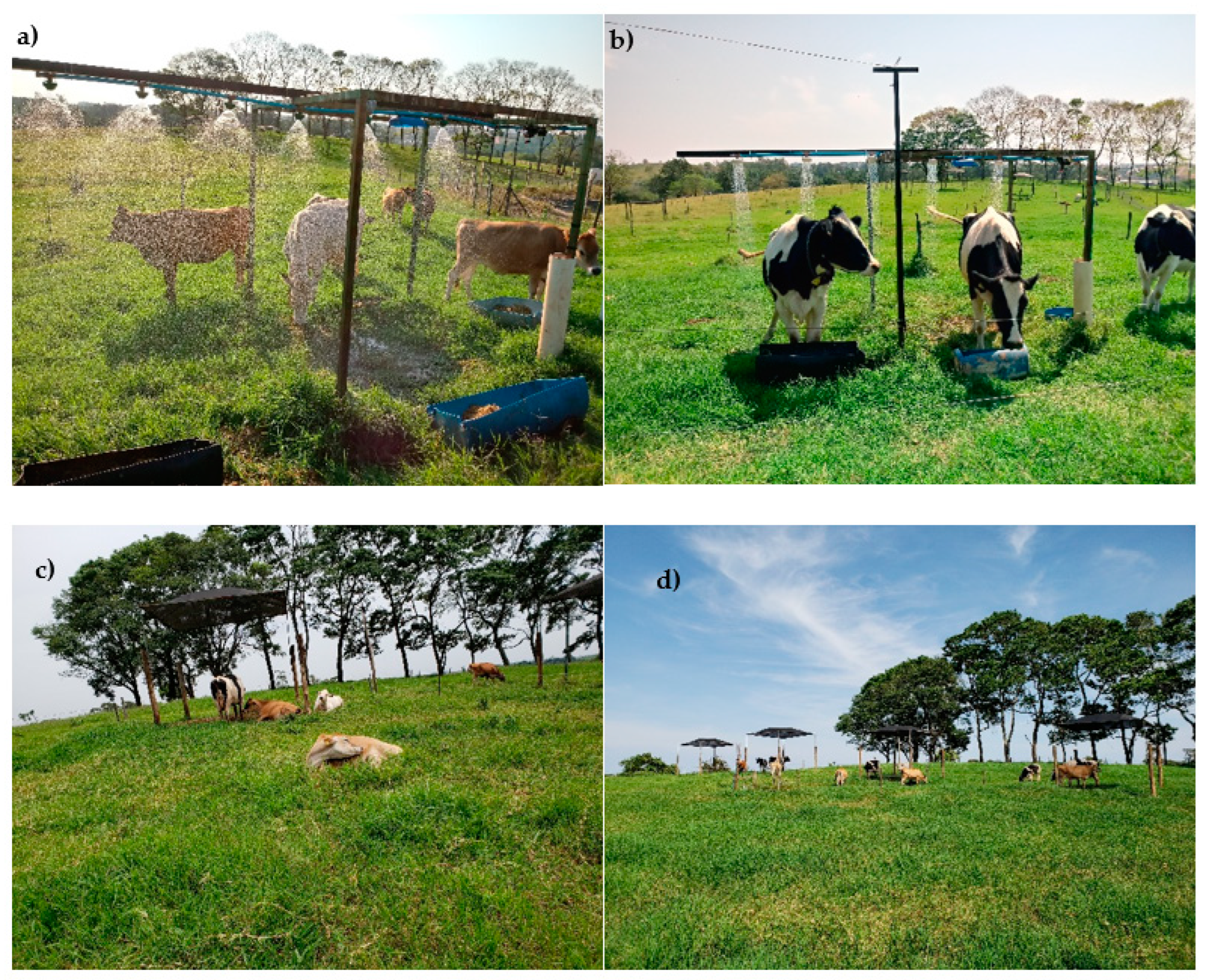 Animals 12 02318 g001 550