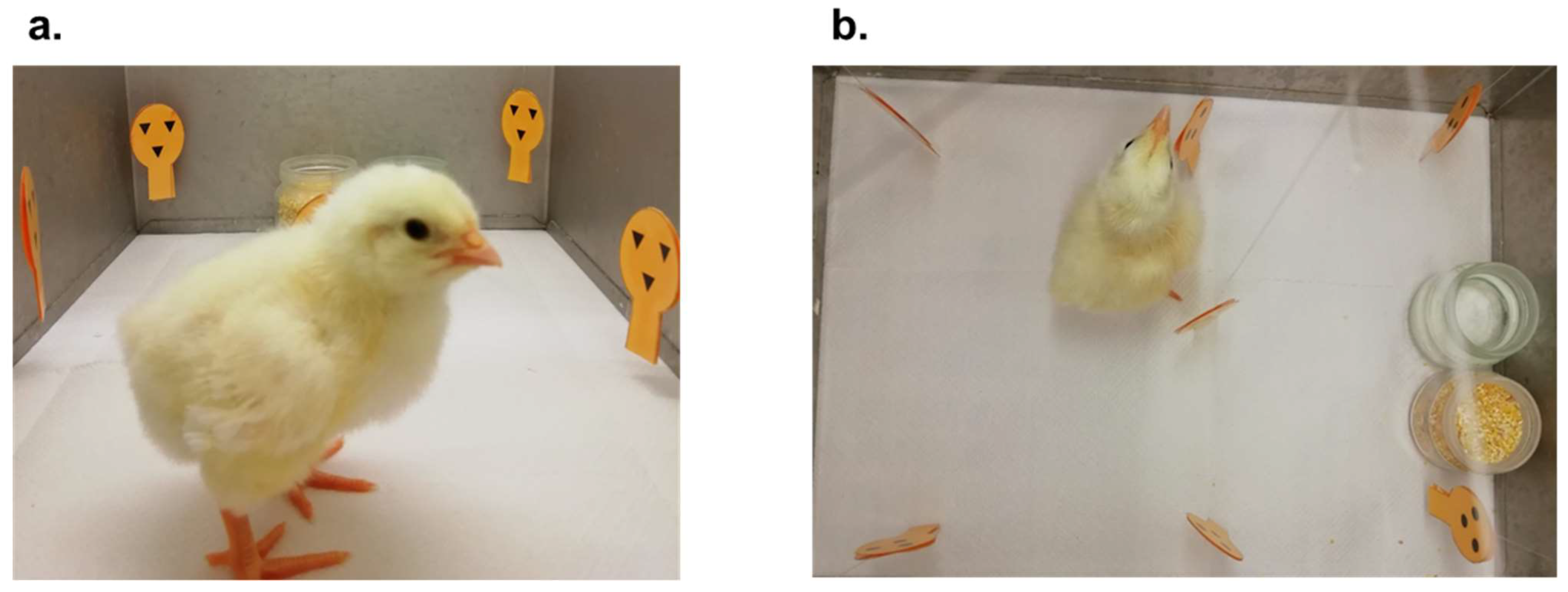 Animals 12 02322 g002 Animals 12 02322 g002