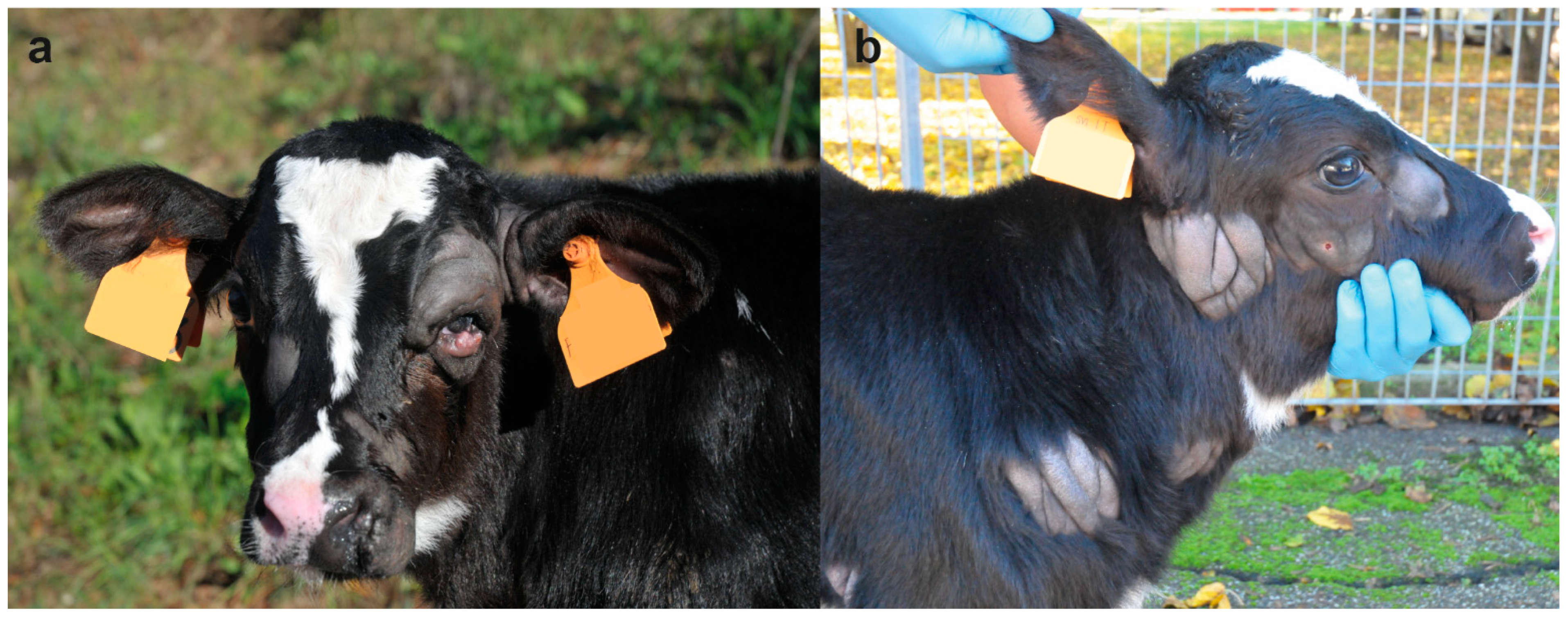 Animals 12 02329 g001 550