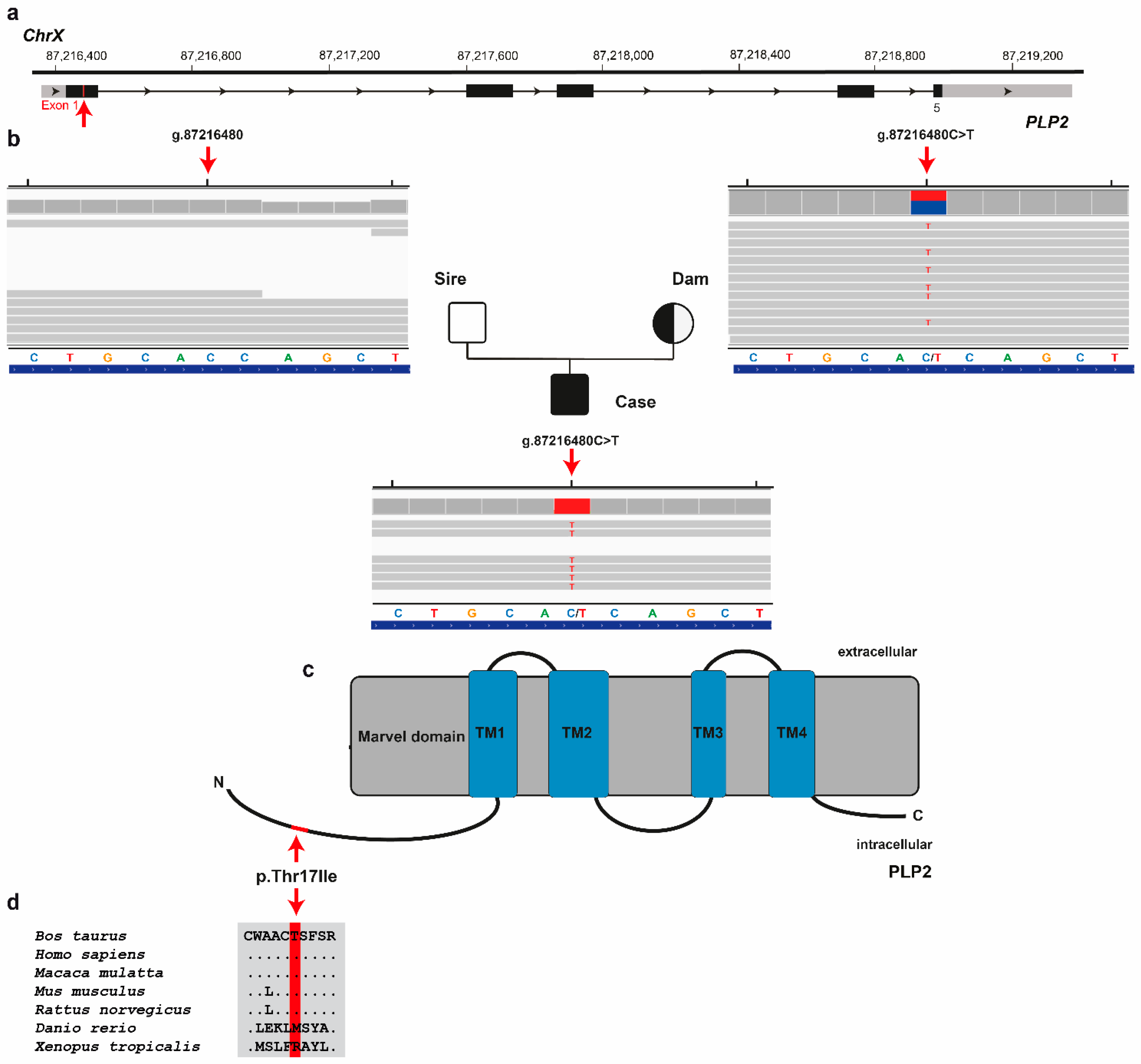 Animals 12 02329 g005 550