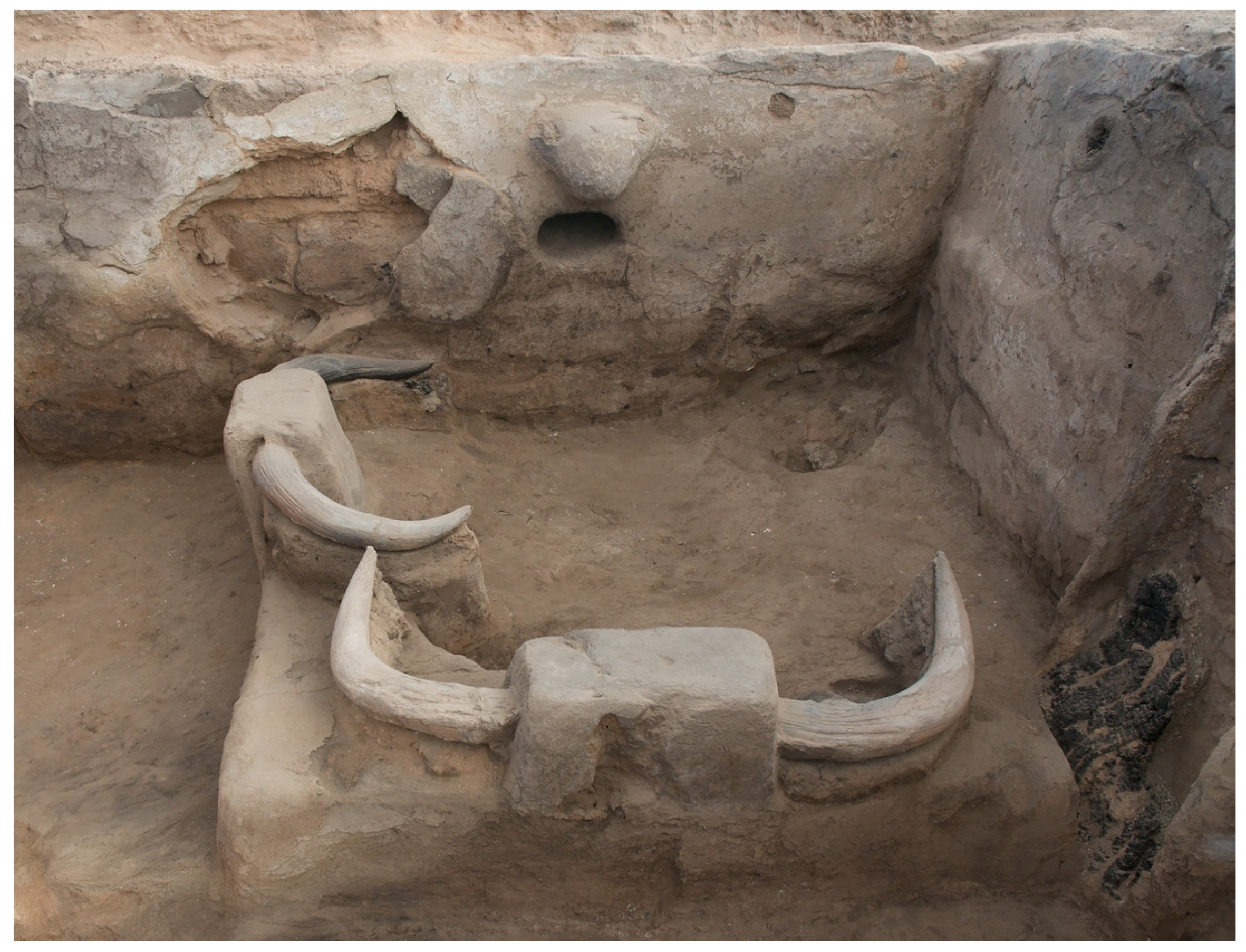 Animals 12 02335 g002