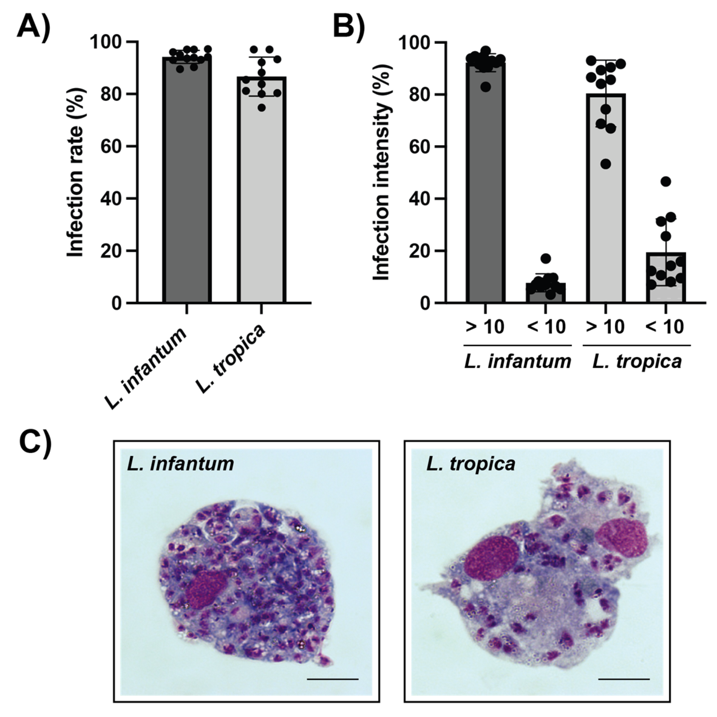 Animals 12 02337 g002