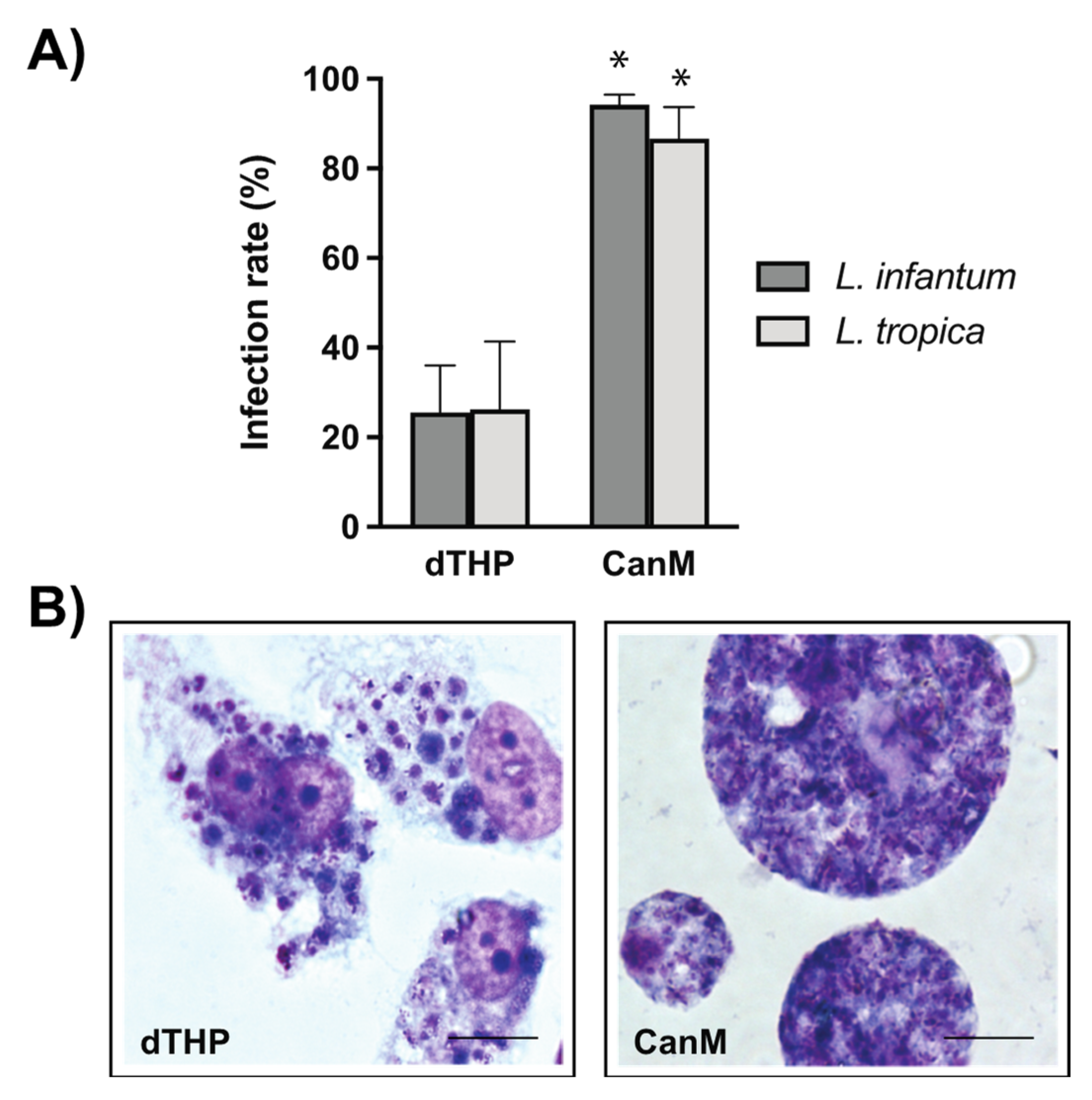 Animals 12 02337 g003