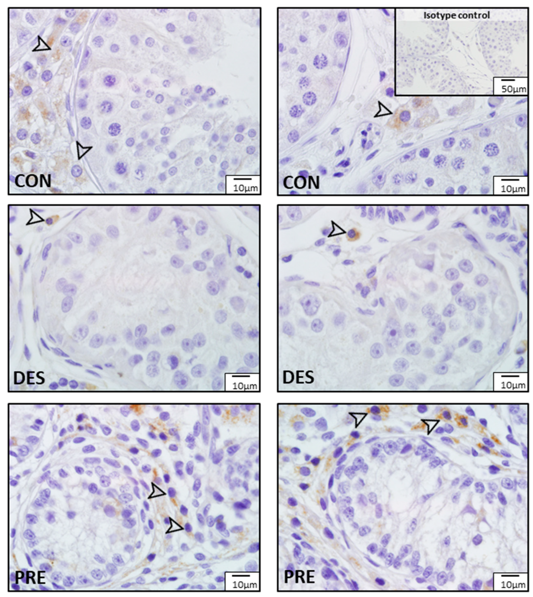 Animals 12 02343 g004 Animals 12 02343 g004