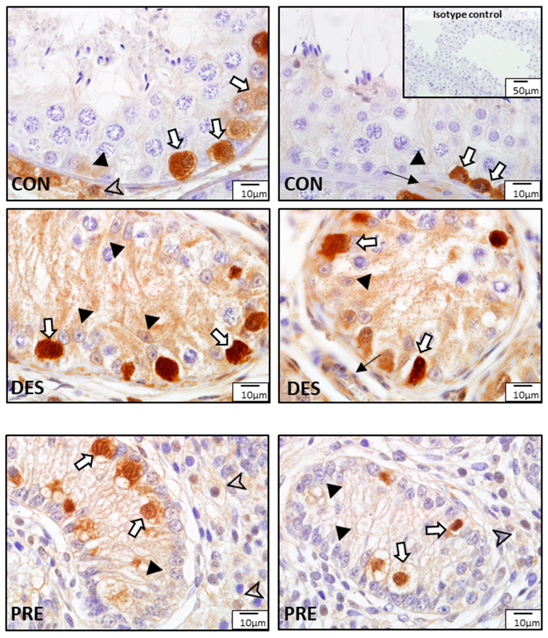 Animals 12 02343 g009 Animals 12 02343 g009