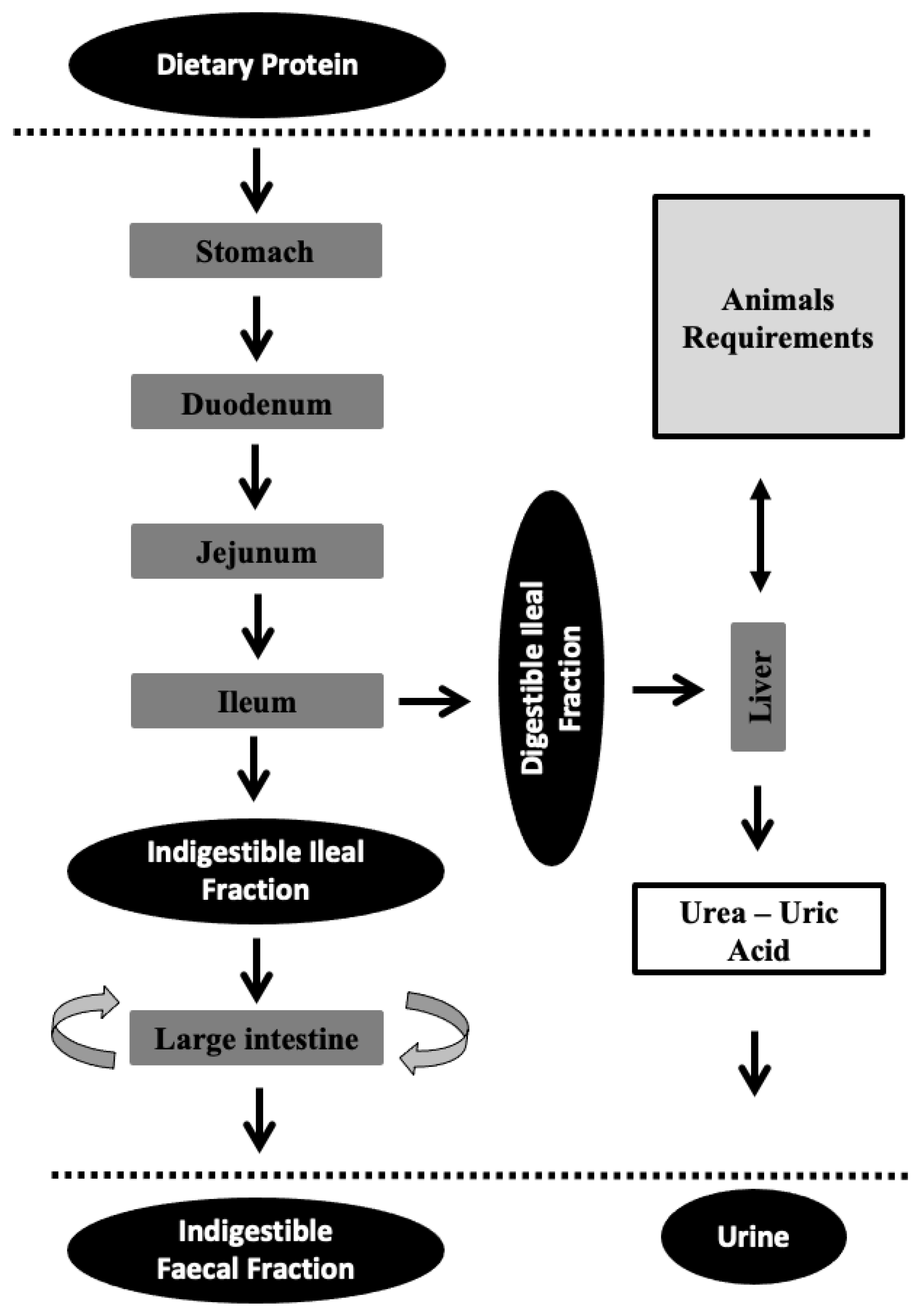 Animals 12 02344 g001