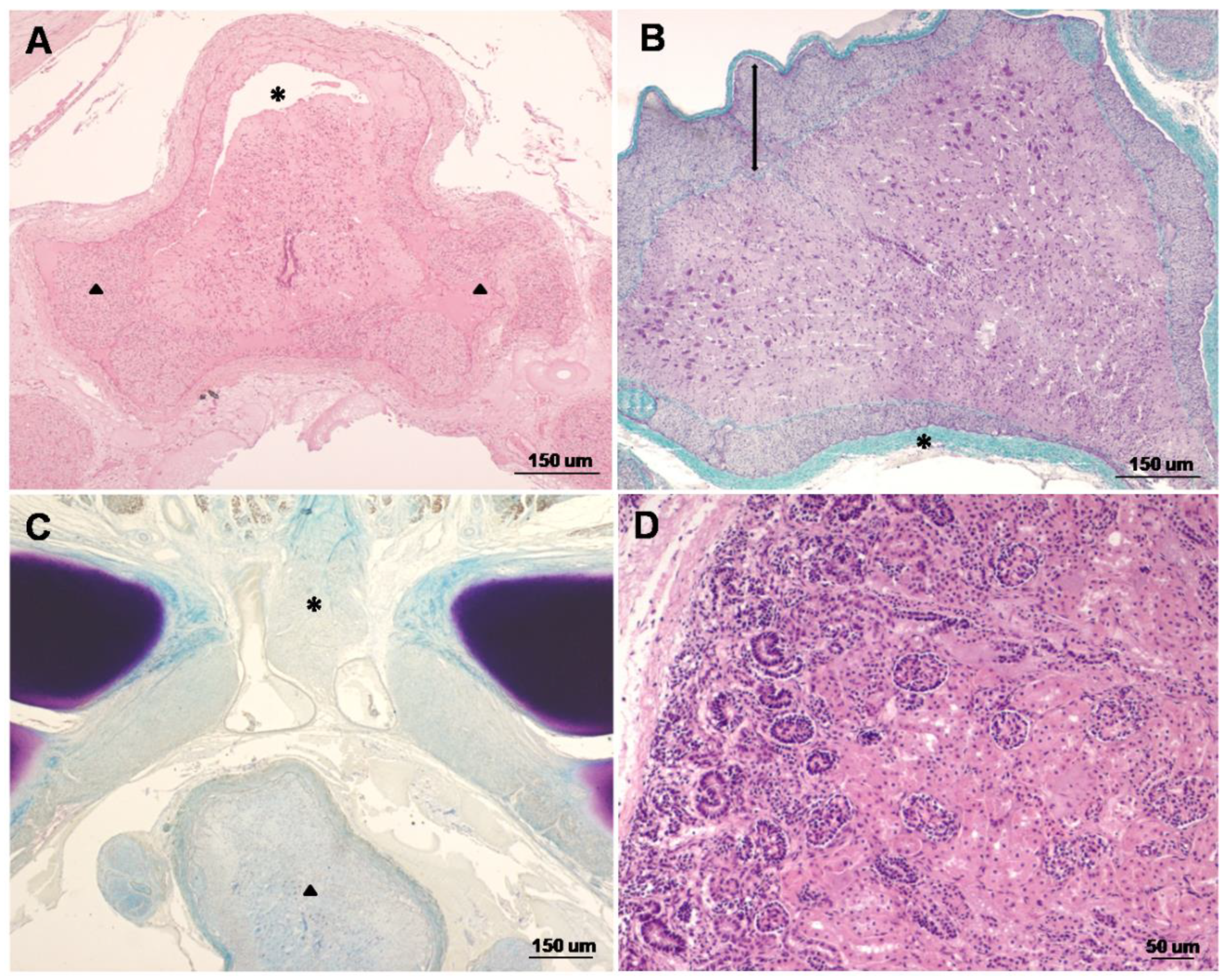 Animals 12 02345 g002 550