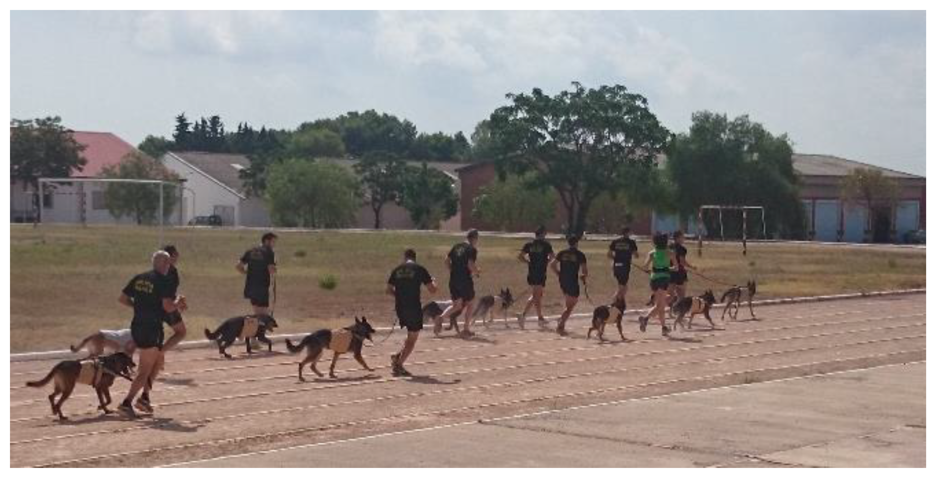 Animals 12 02347 g001 550