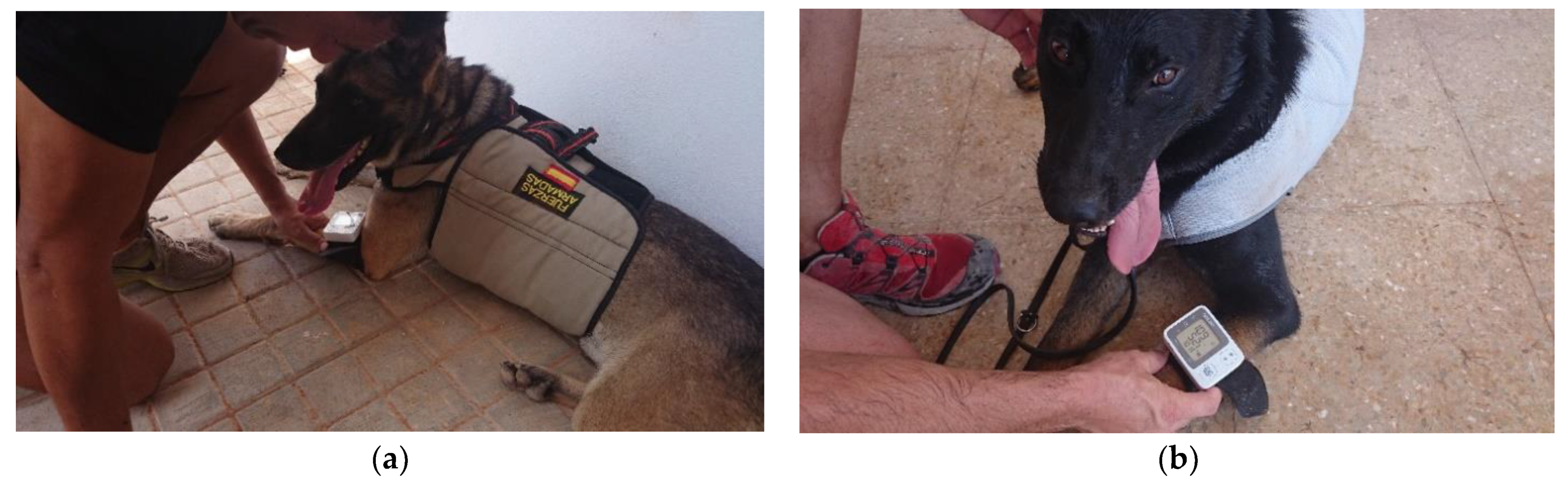 Animals 12 02347 g002 550