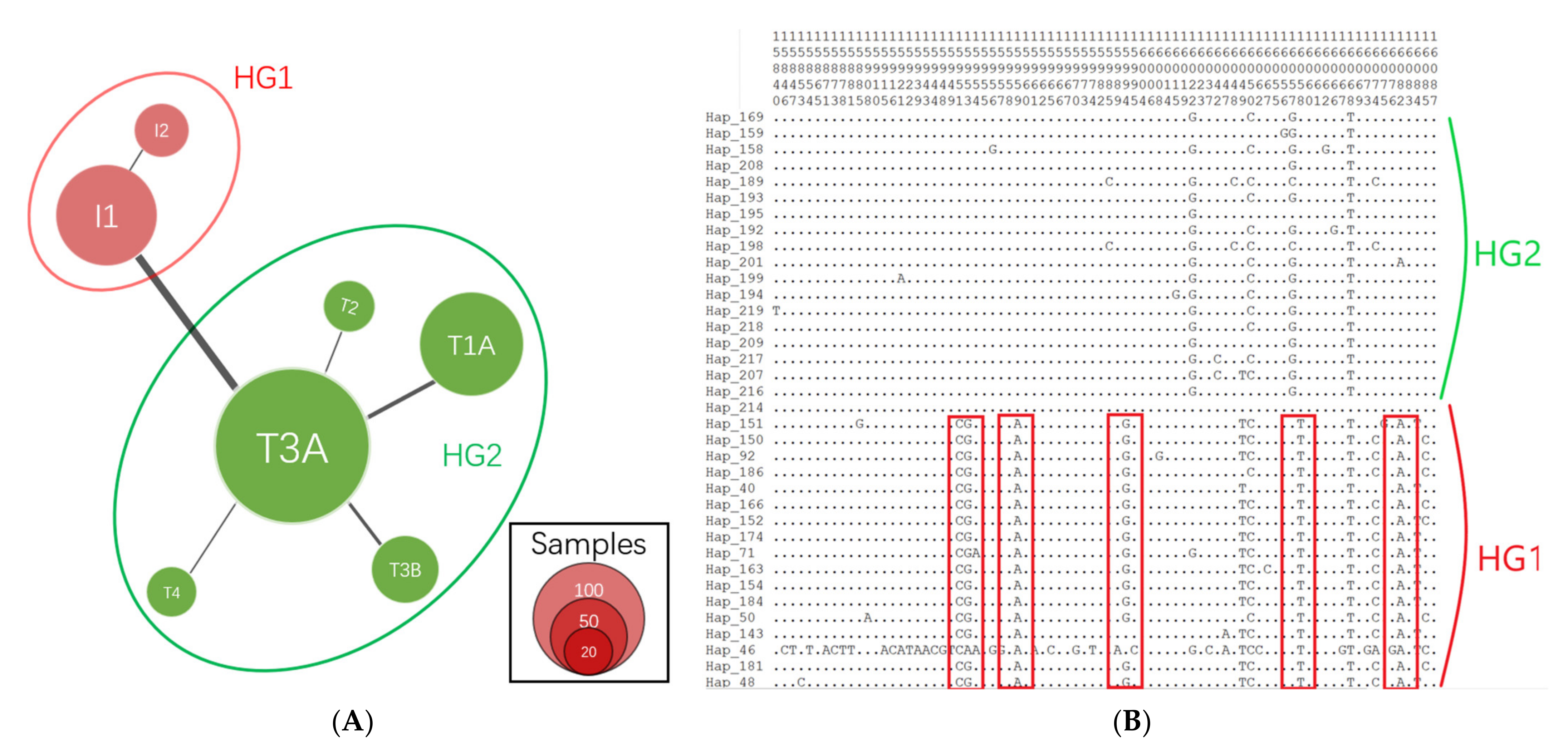 Animals 12 02350 g001
