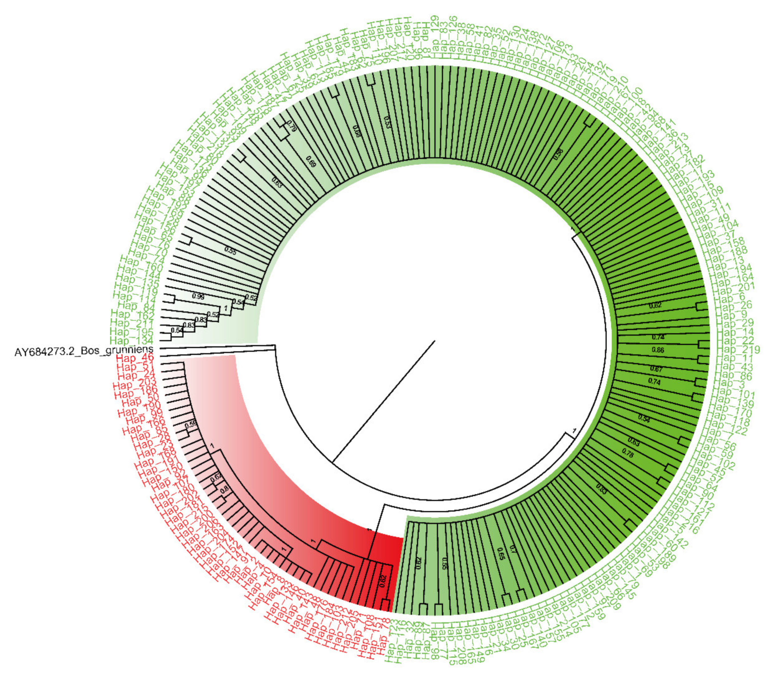 Animals 12 02350 g002
