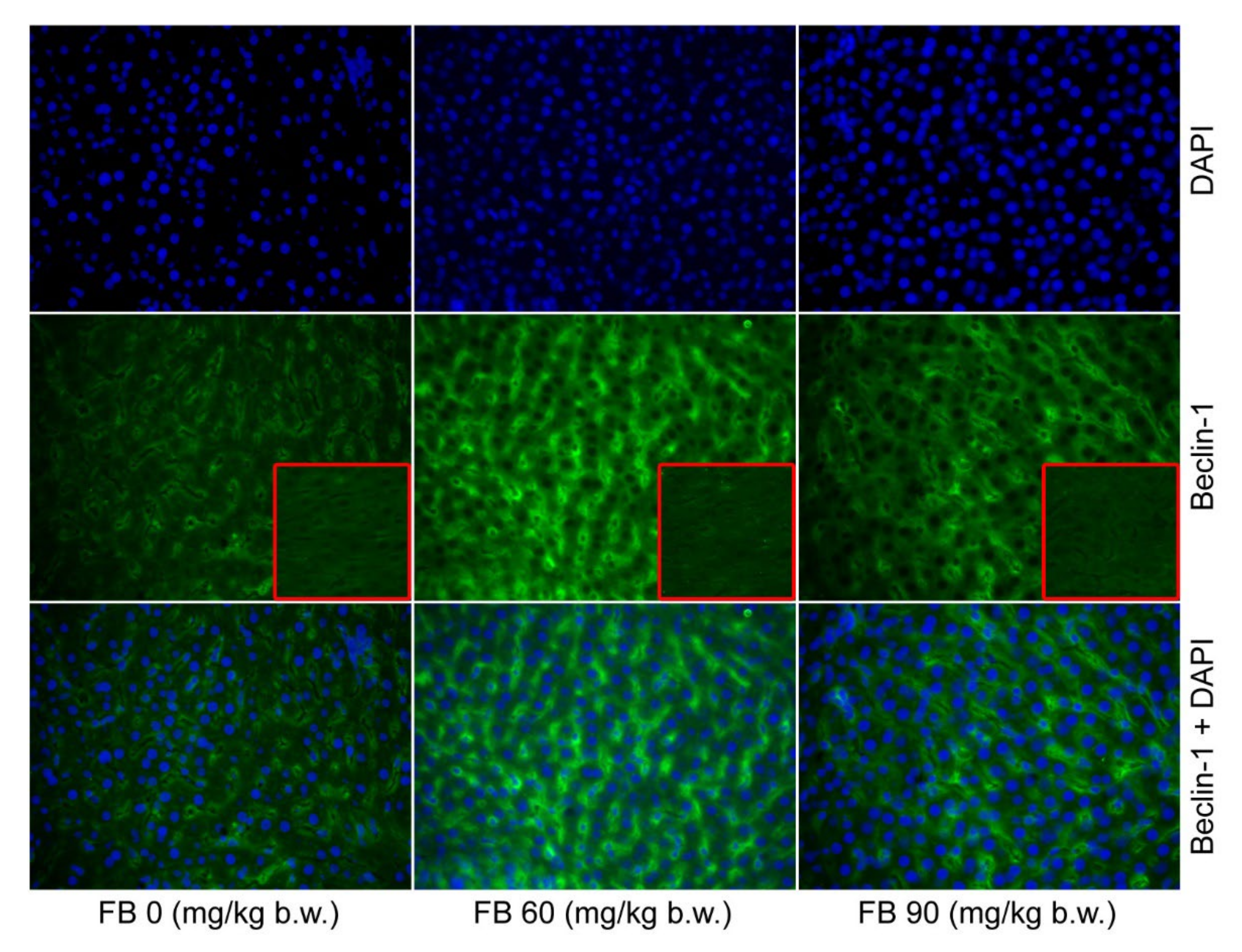 Animals 12 02353 g001 550