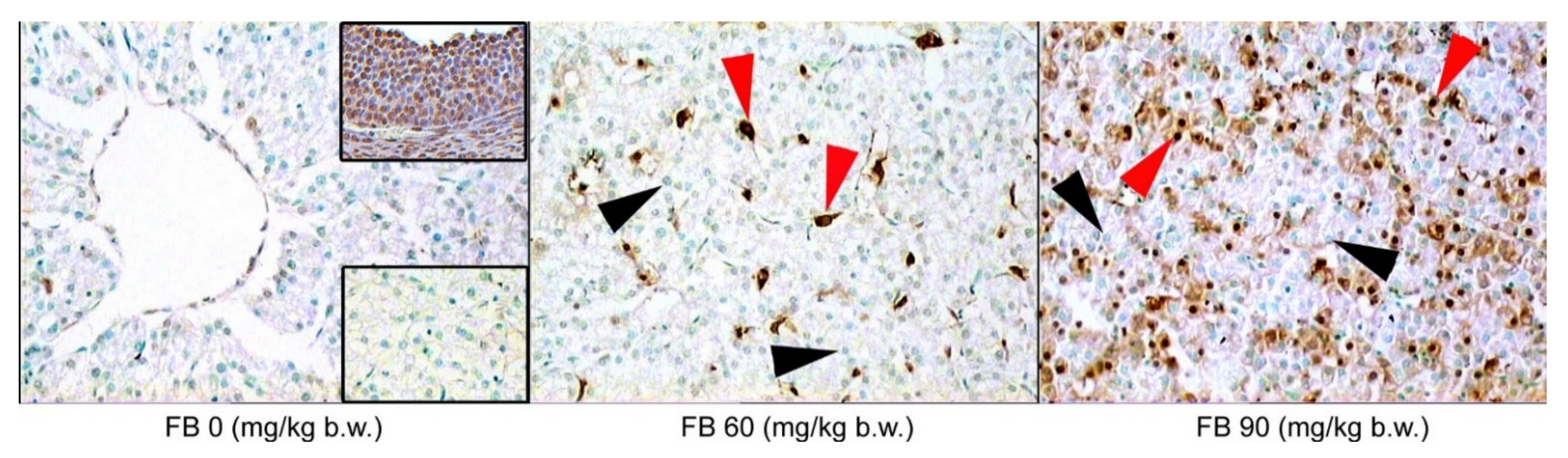 Animals 12 02353 g002 550