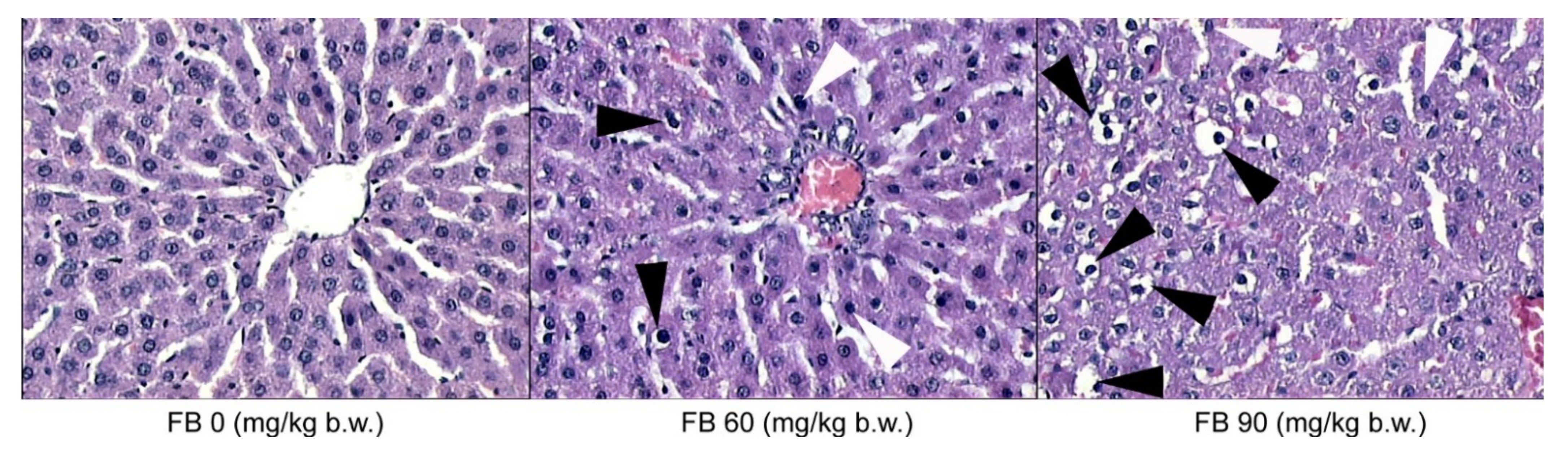 Animals 12 02353 g003 550