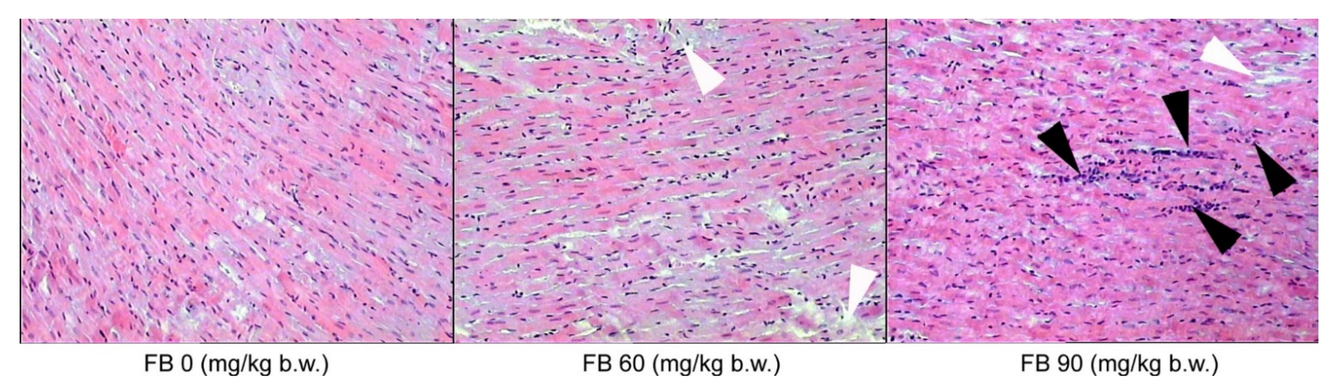 Animals 12 02353 g004 550