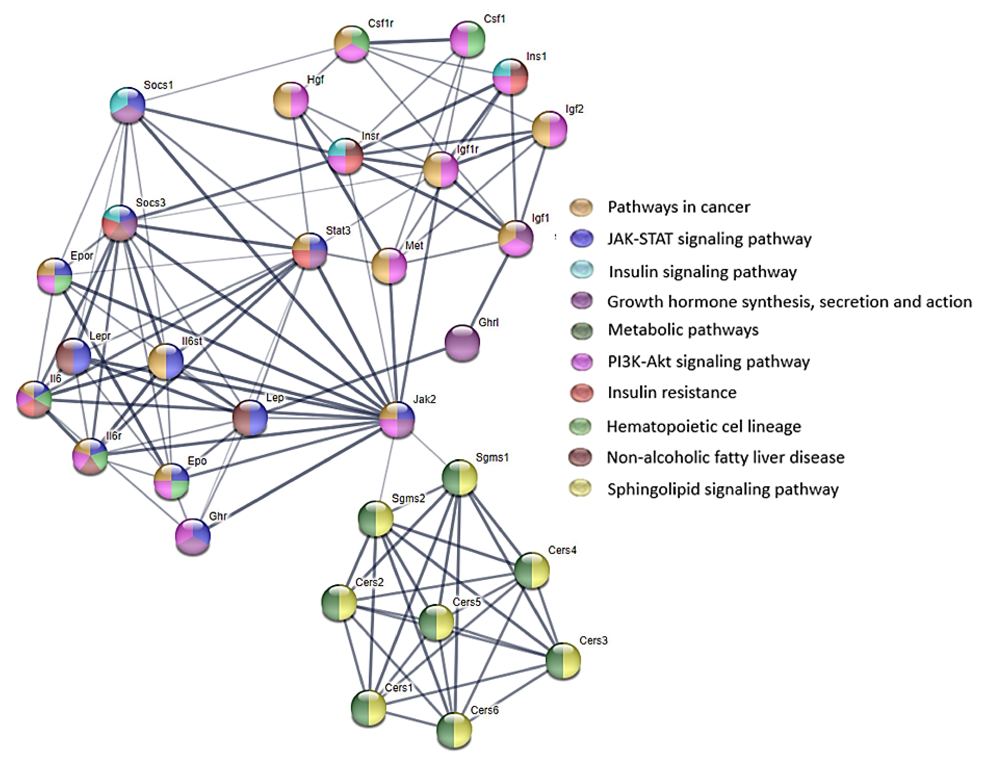 Animals 12 02353 g006 550