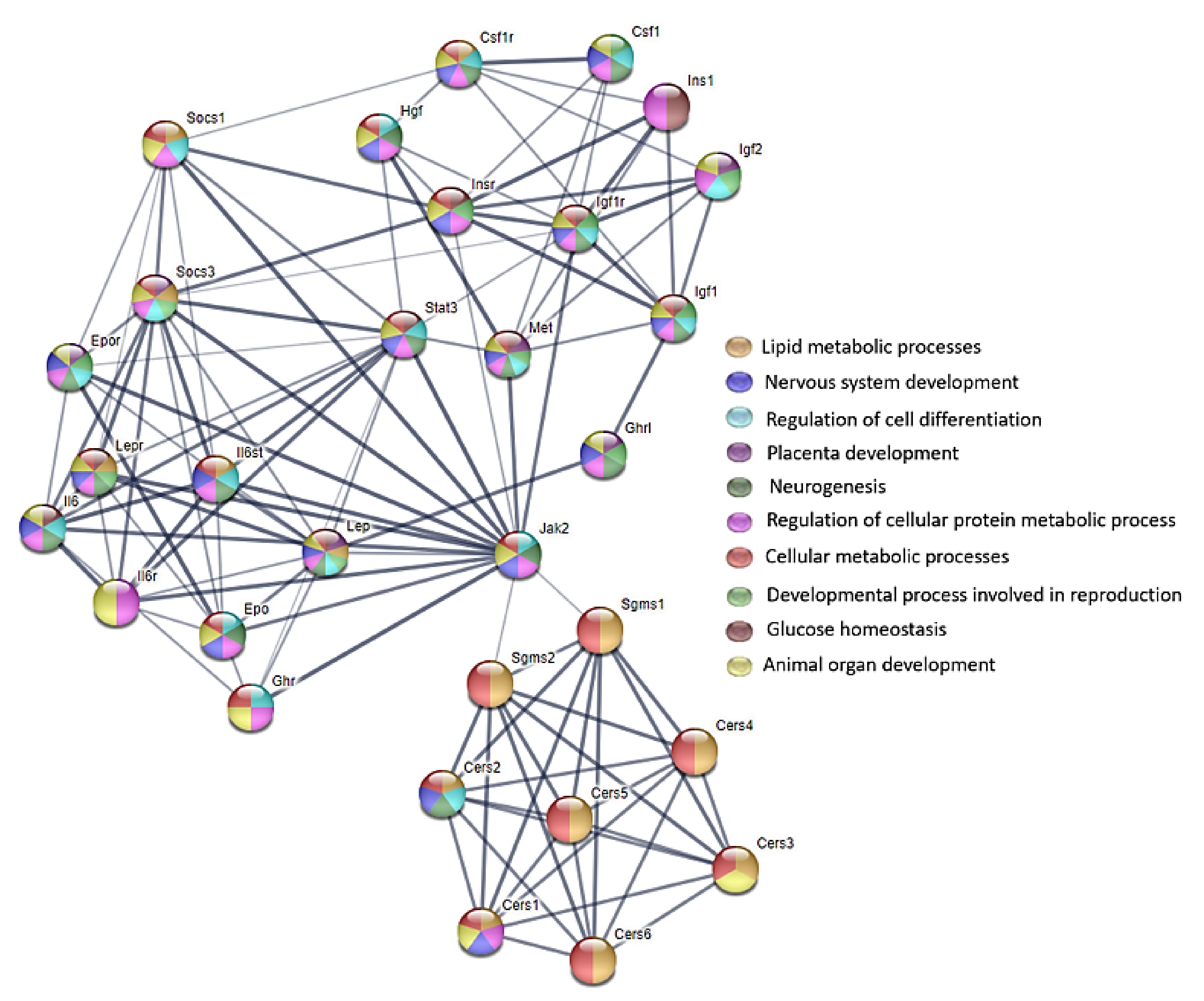 Animals 12 02353 g007 550