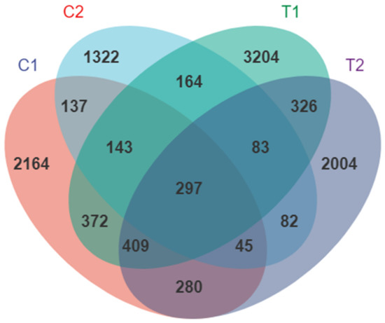 o.b.t Age-Related Neurodegenerative Diseases: A Stem Cell's