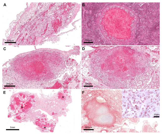 Animals 12 02364 g003 Animals 12 02364 g003