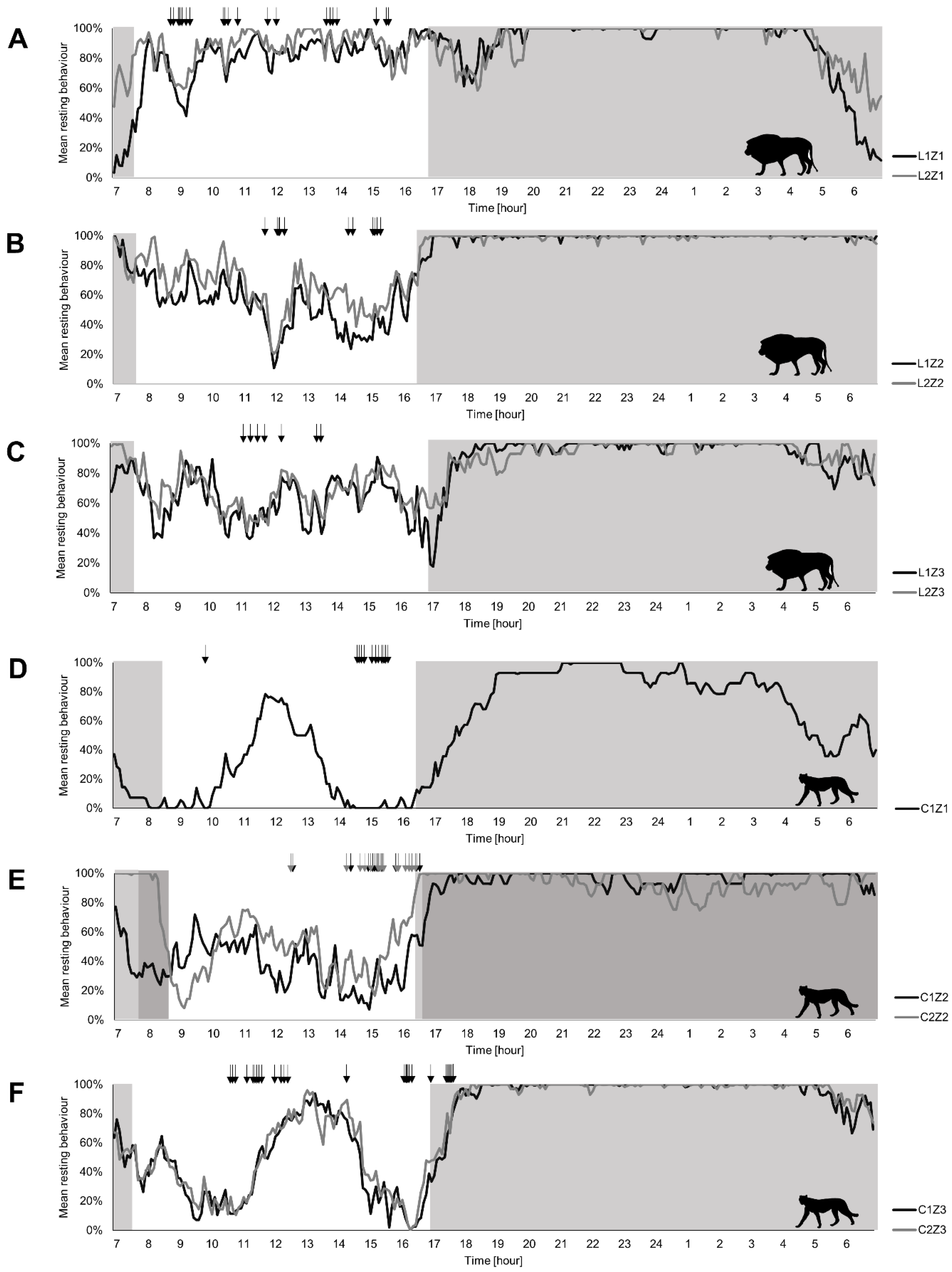 Animals 12 02367 g002