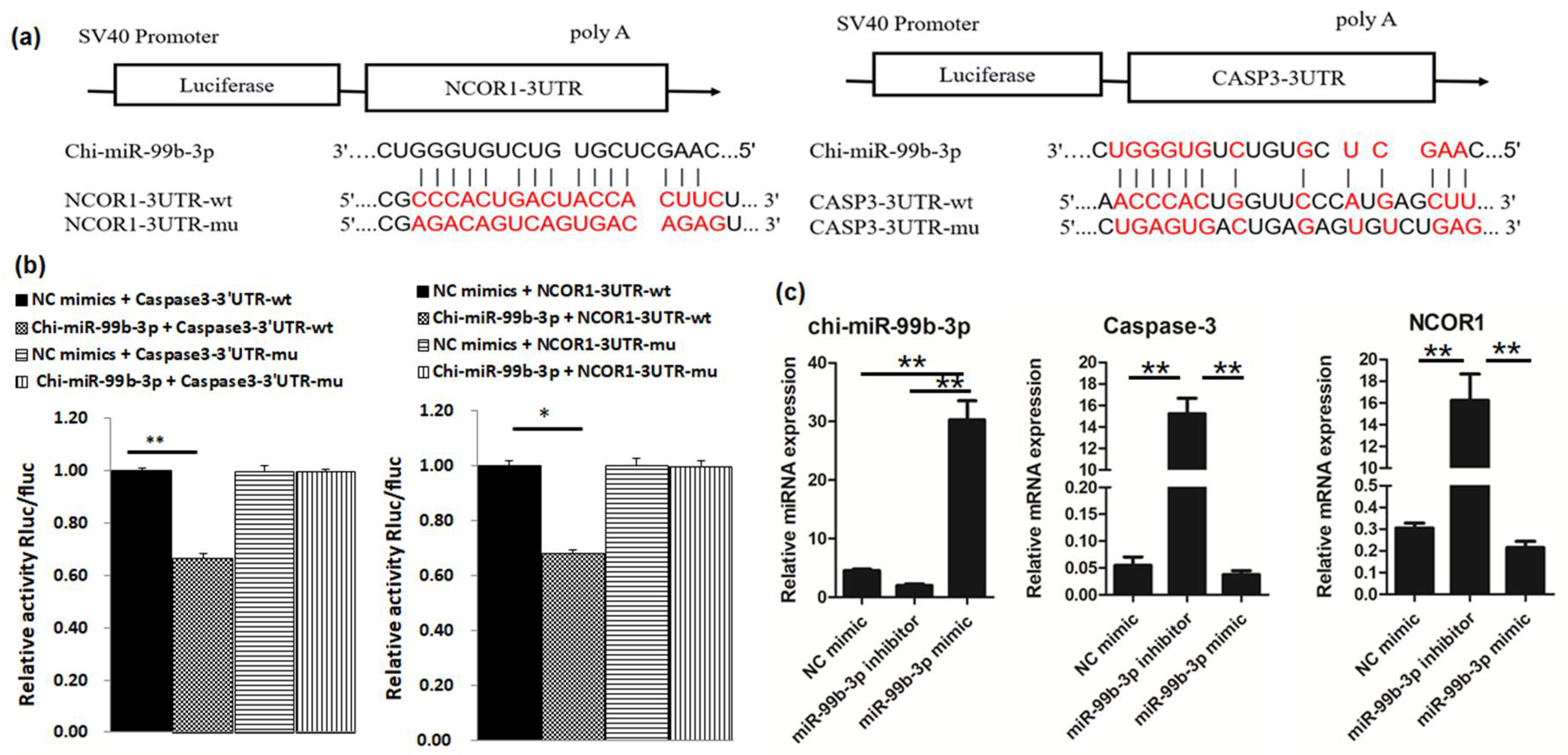 Animals 12 02368 g002