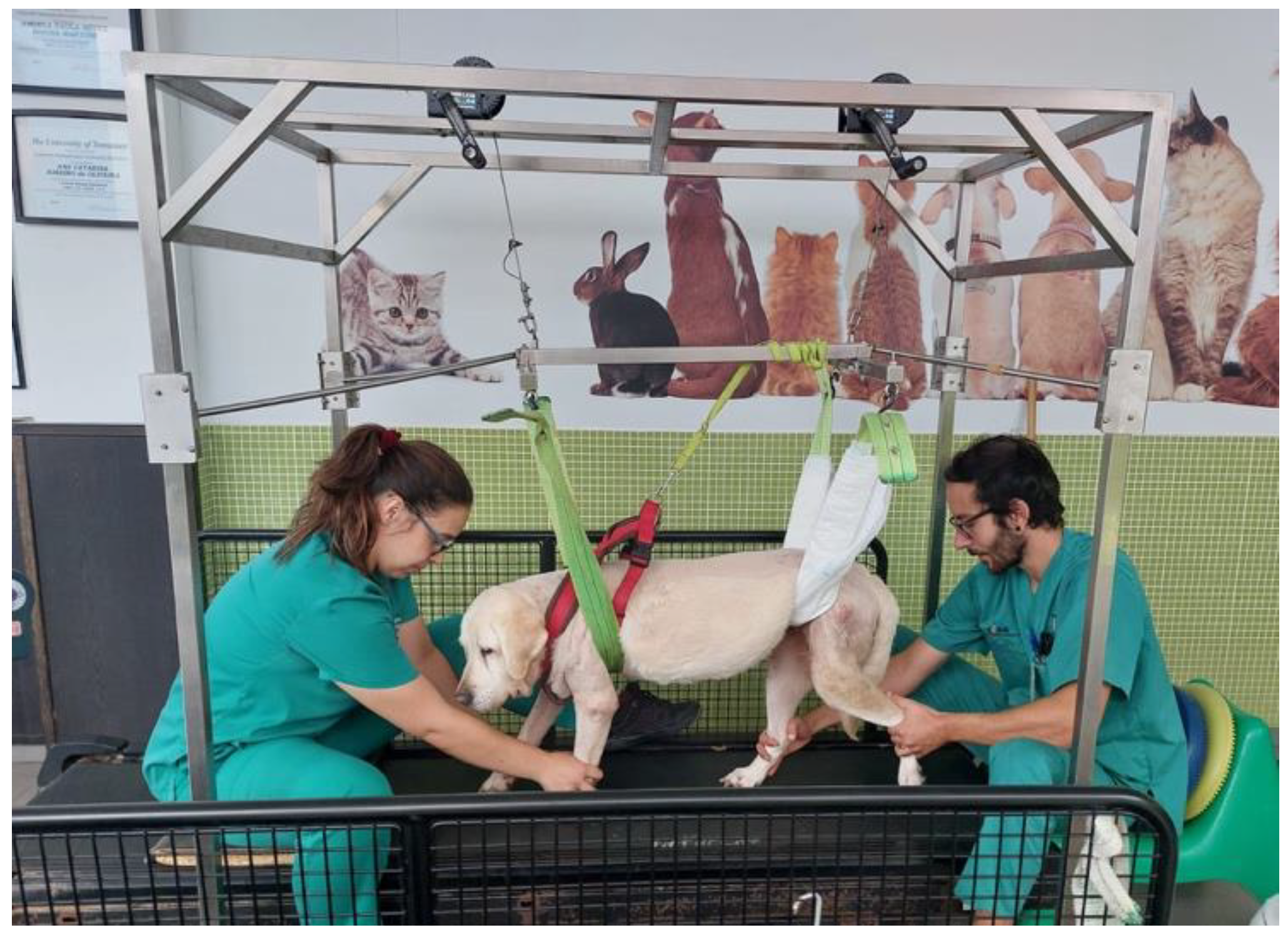 Animals 12 02369 g007 Animals 12 02369 g007