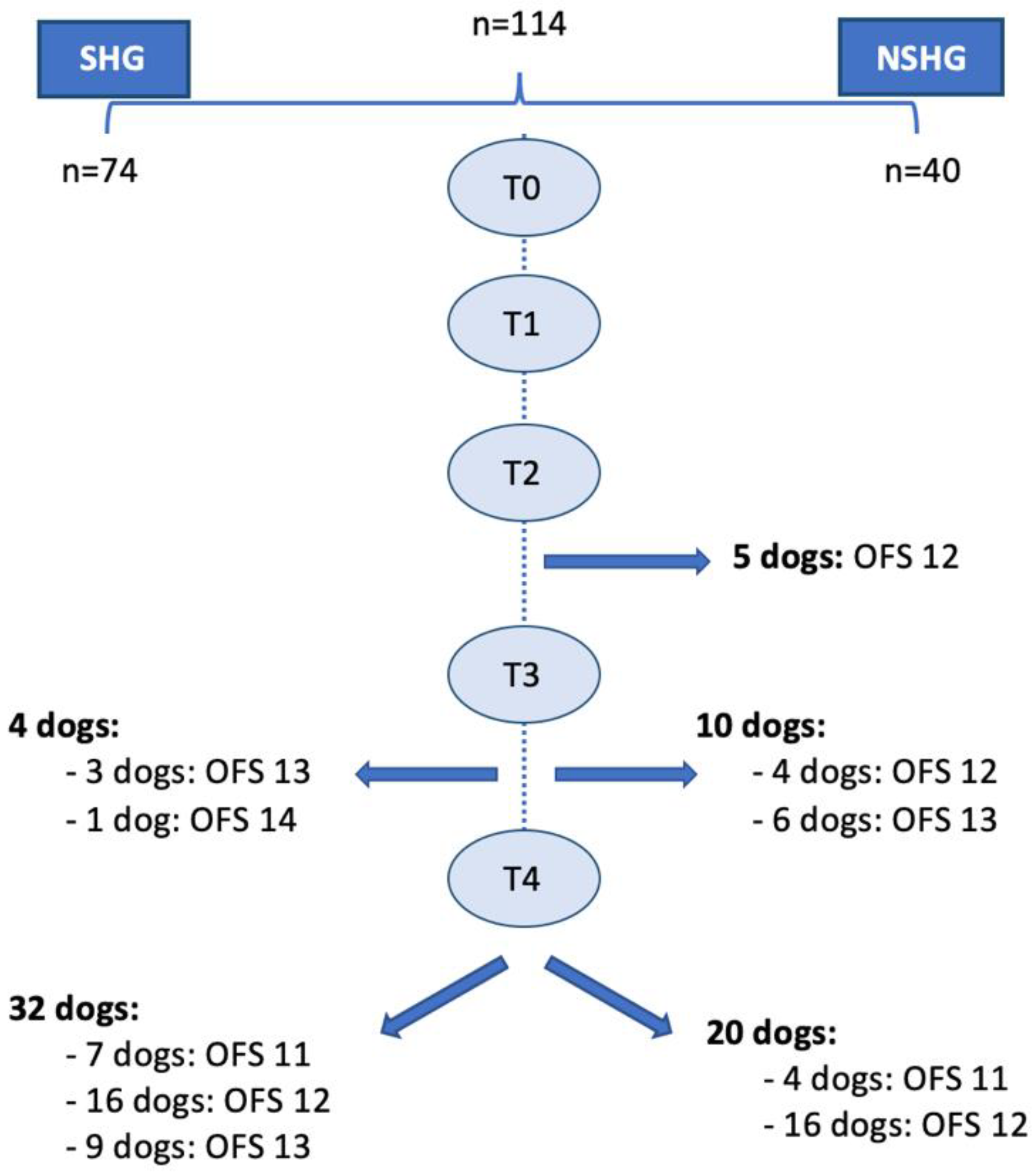 Animals 12 02369 g014 Animals 12 02369 g014