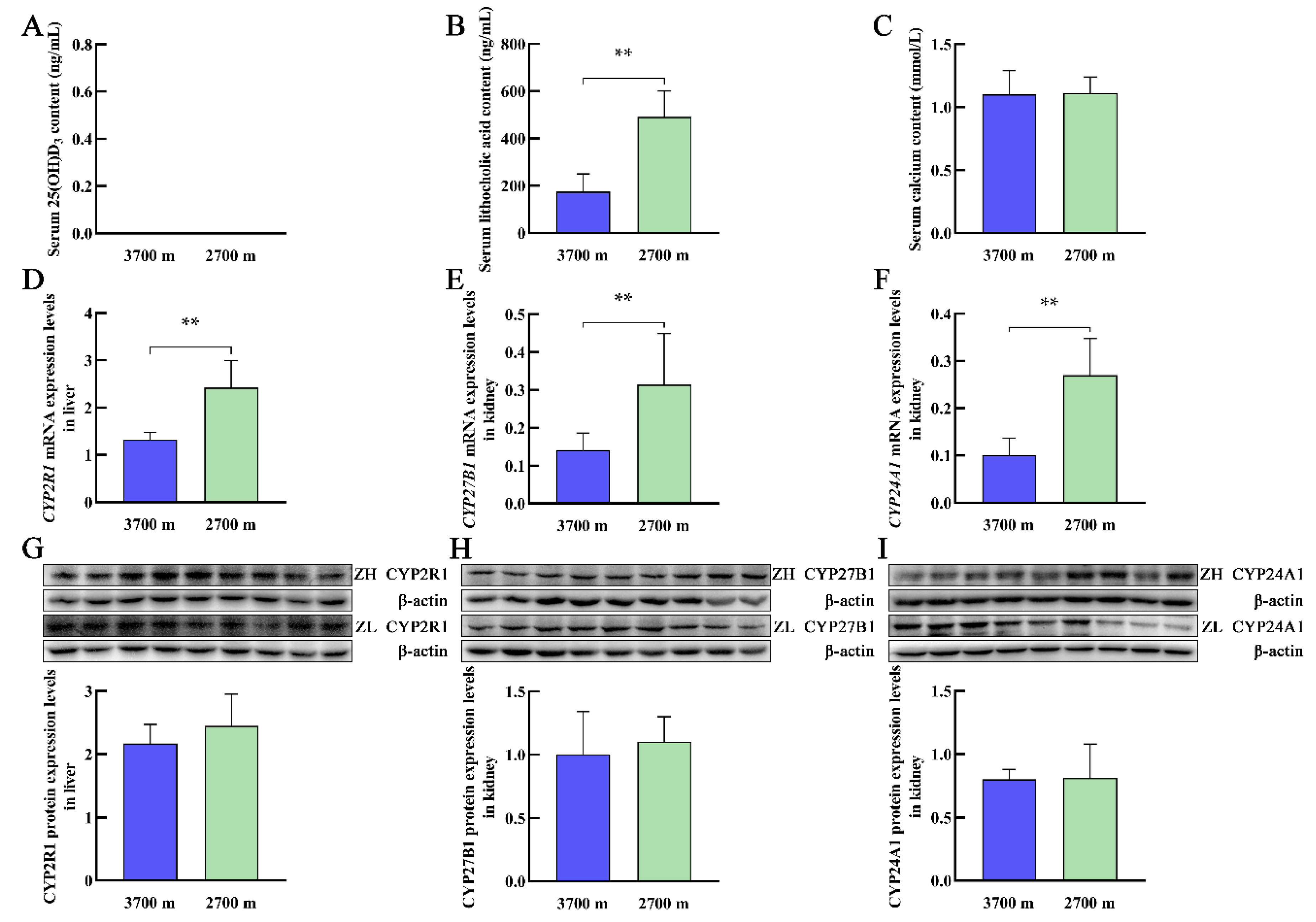 Animals 12 02371 g002 Animals 12 02371 g002