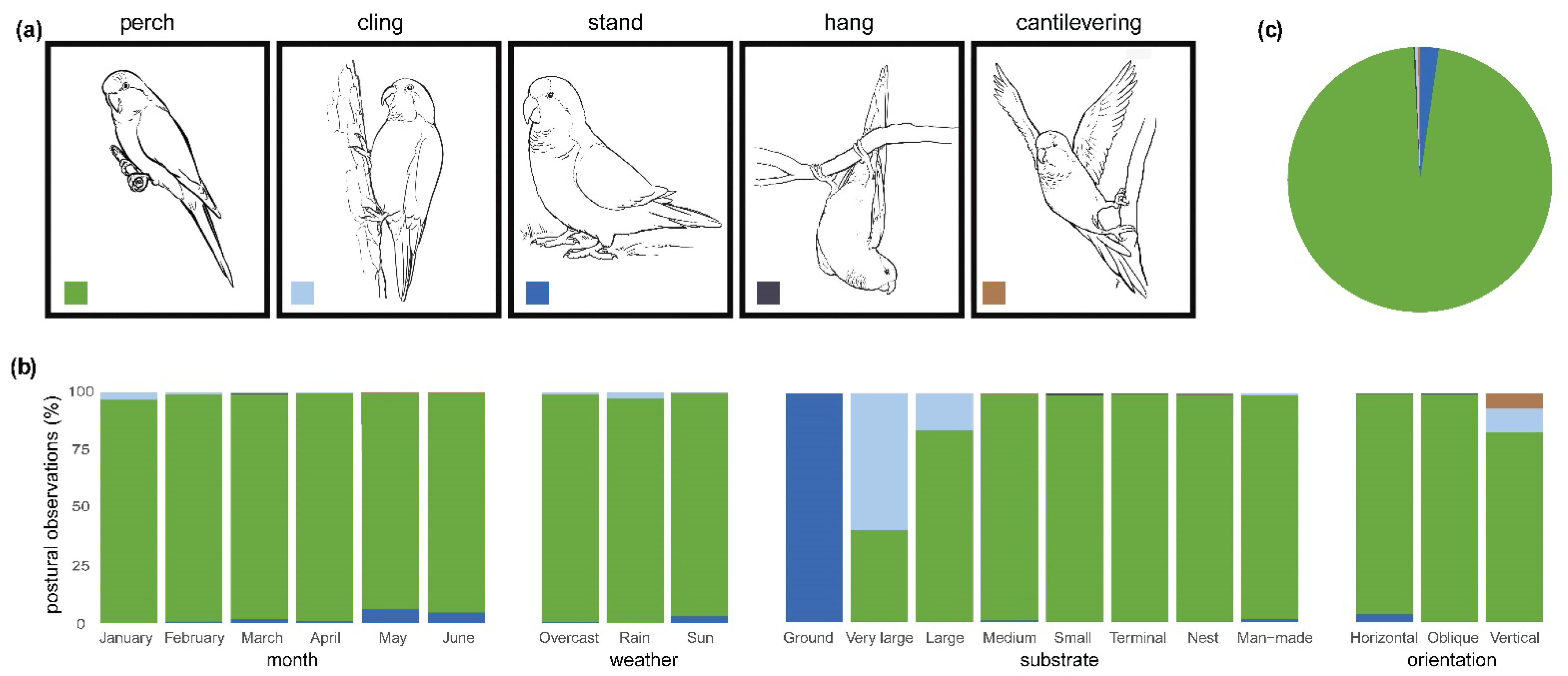 Animals 12 02372 g004 Animals 12 02372 g004