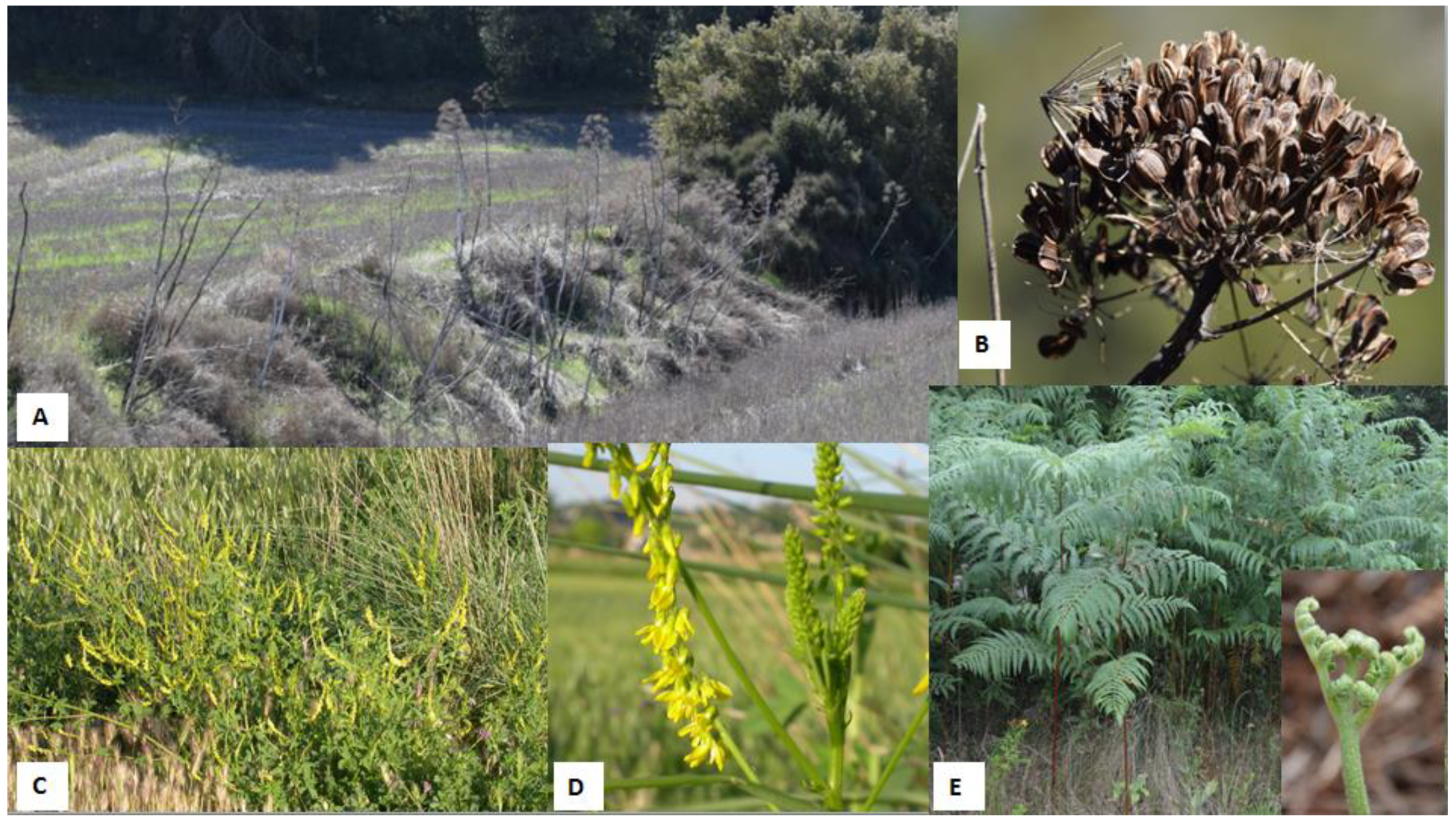 Animals 12 02373 g001 550