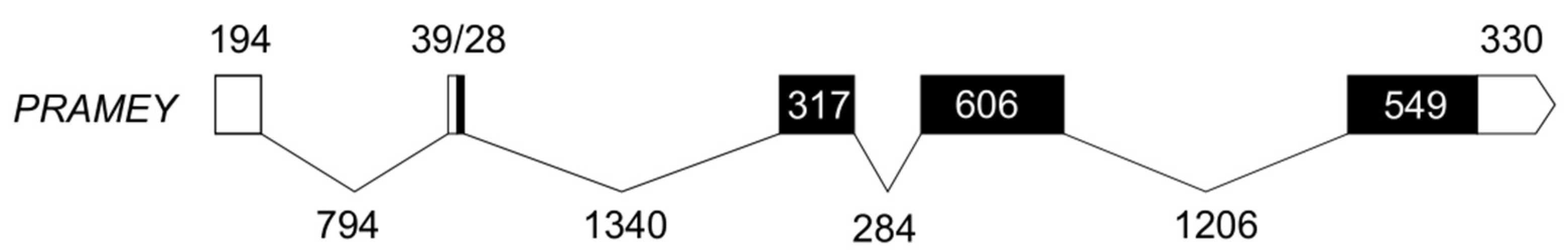 Animals 12 02380 g001