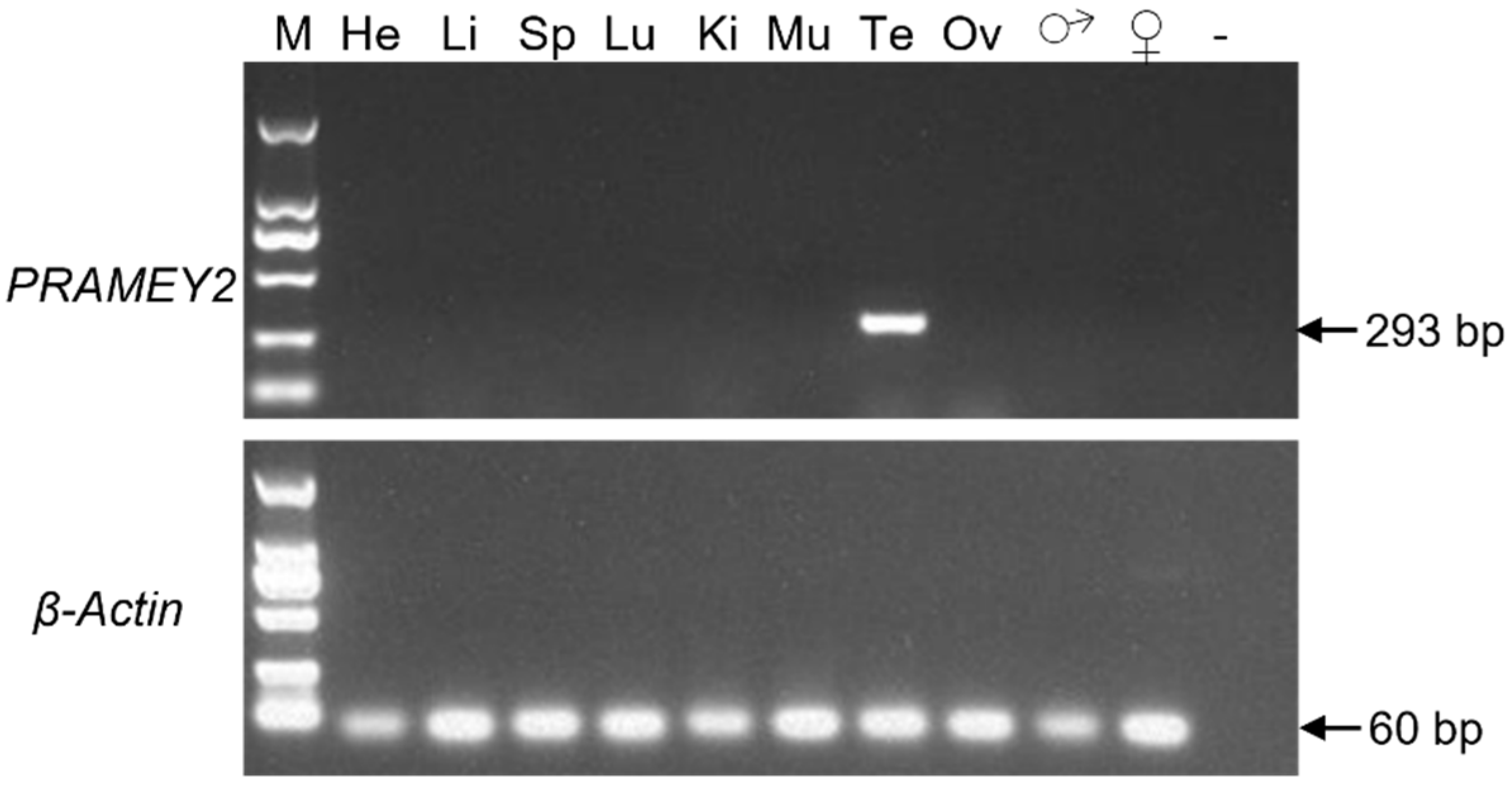 Animals 12 02380 g004