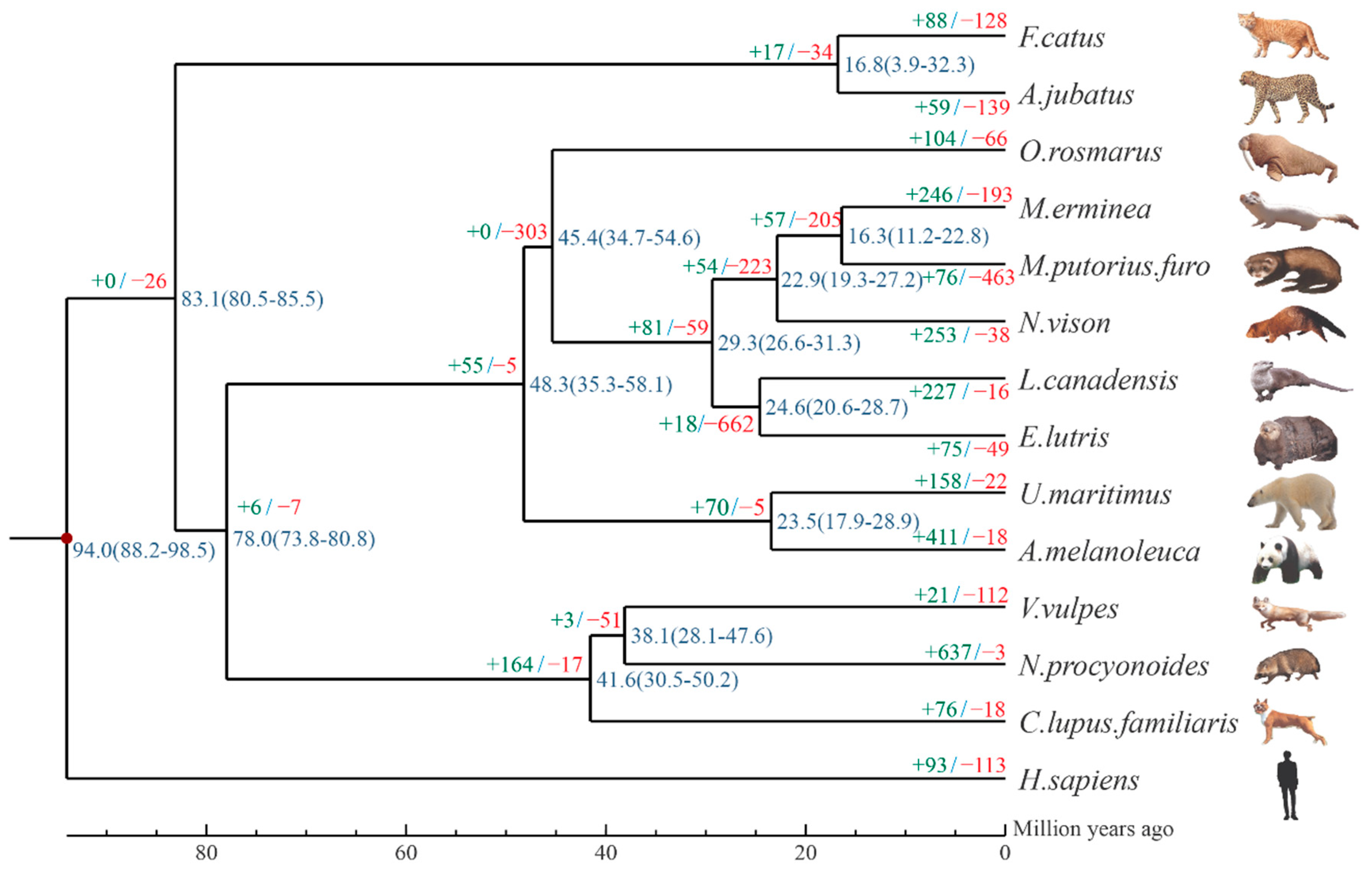 Animals 12 02385 g003 550
