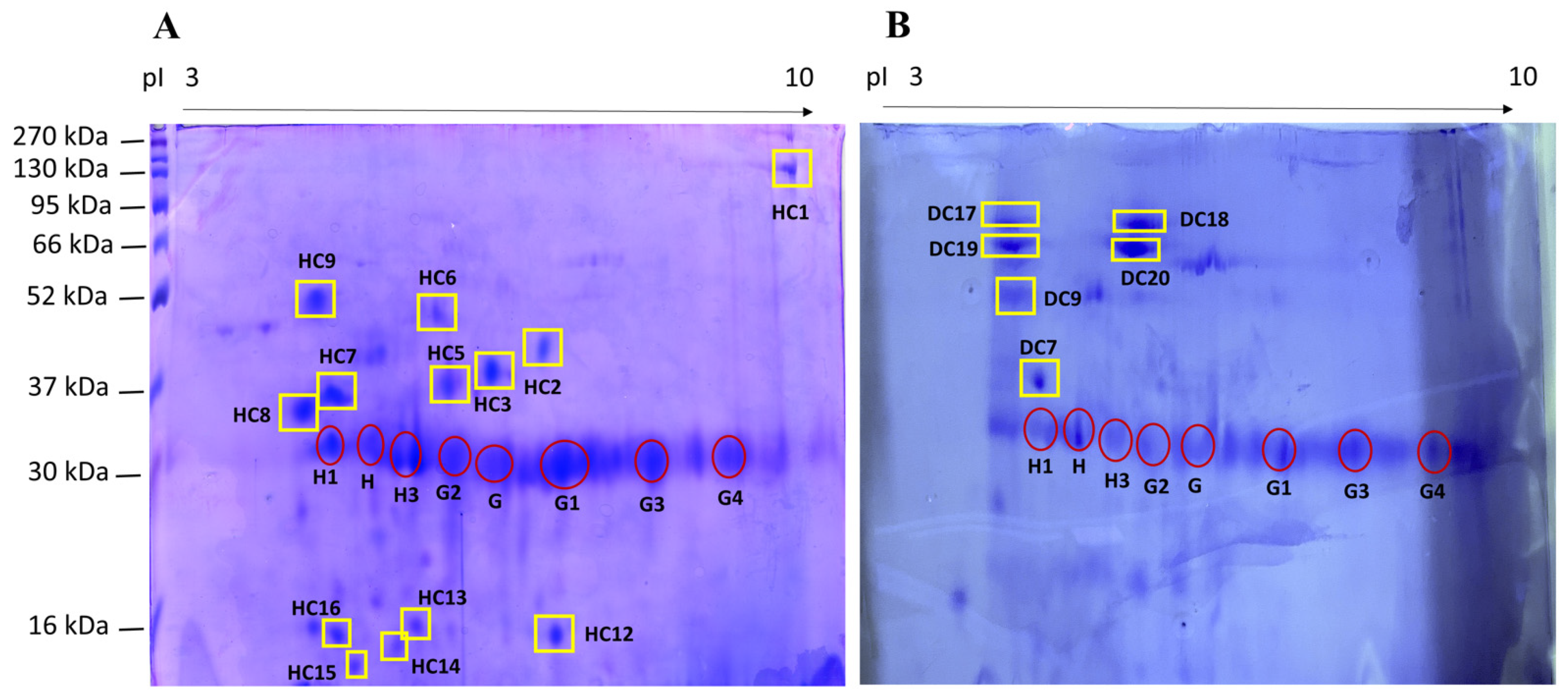 Animals 12 02392 g001