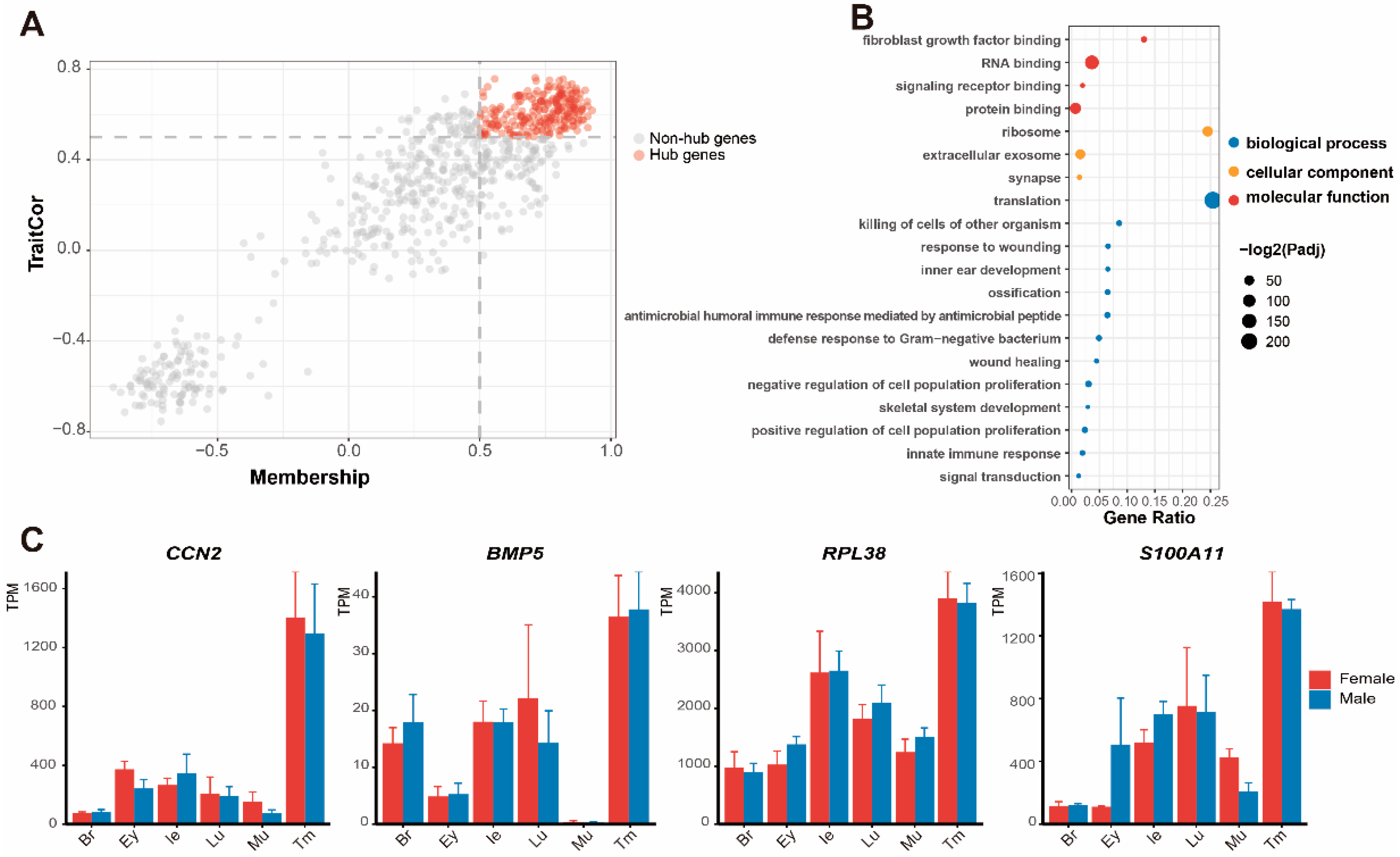 Animals 12 02410 g004
