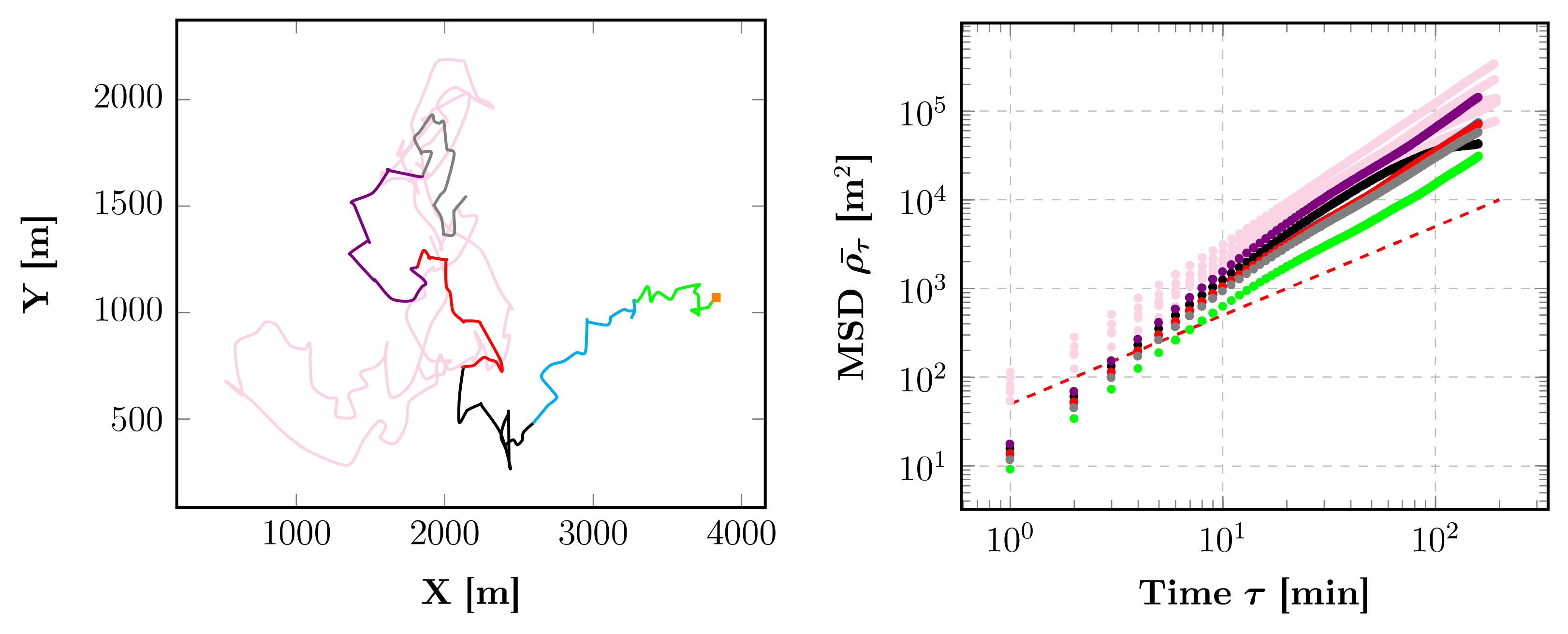 Animals 12 02412 g011 Animals 12 02412 g011