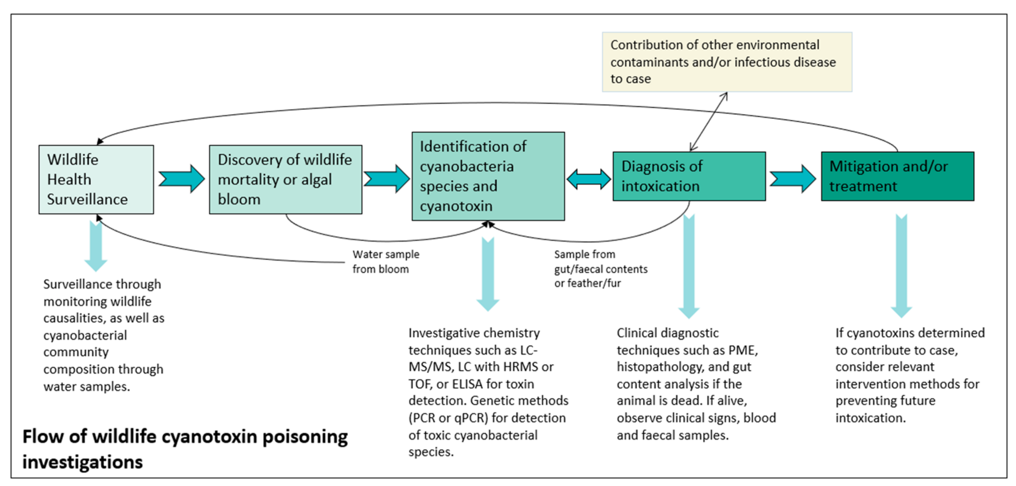 Animals 12 02423 g006 550