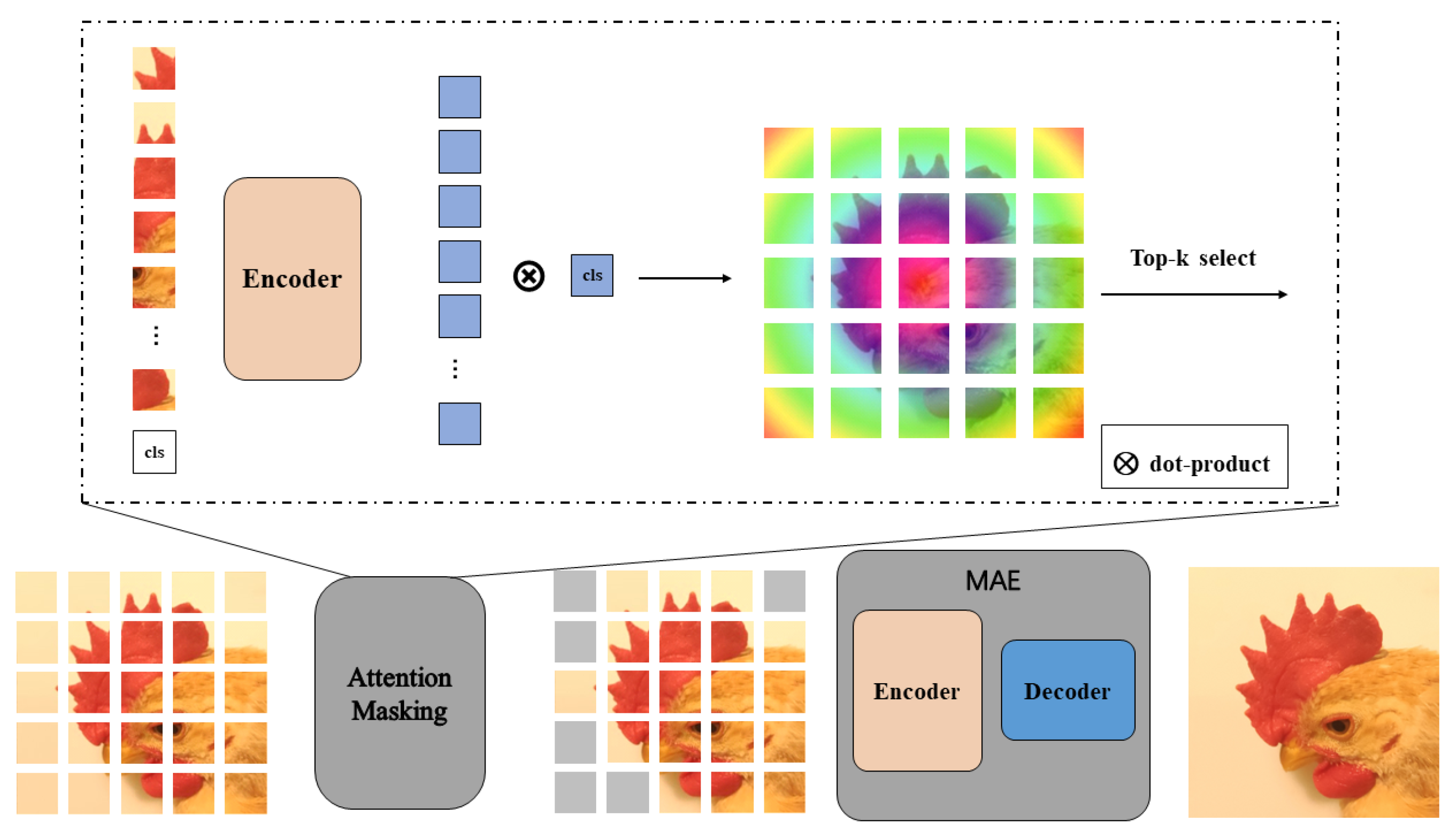 Animals 12 02425 g004 550