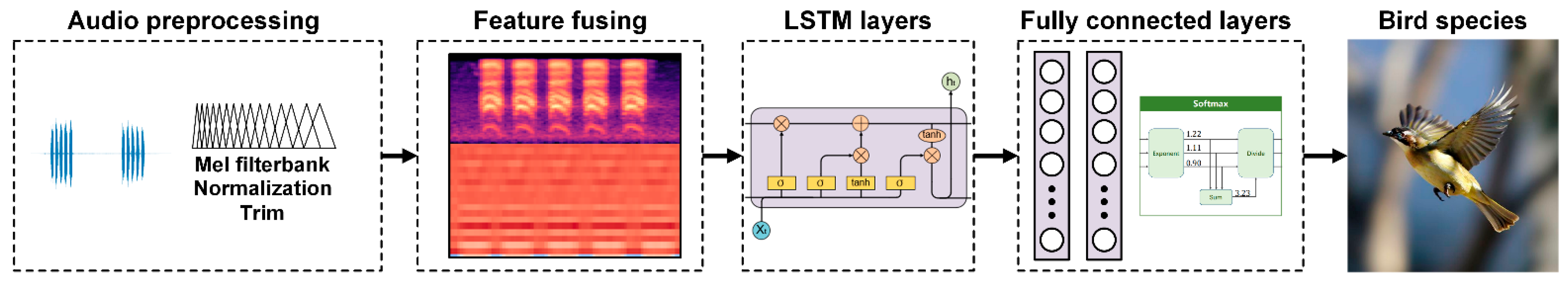 Animals 12 02434 g005
