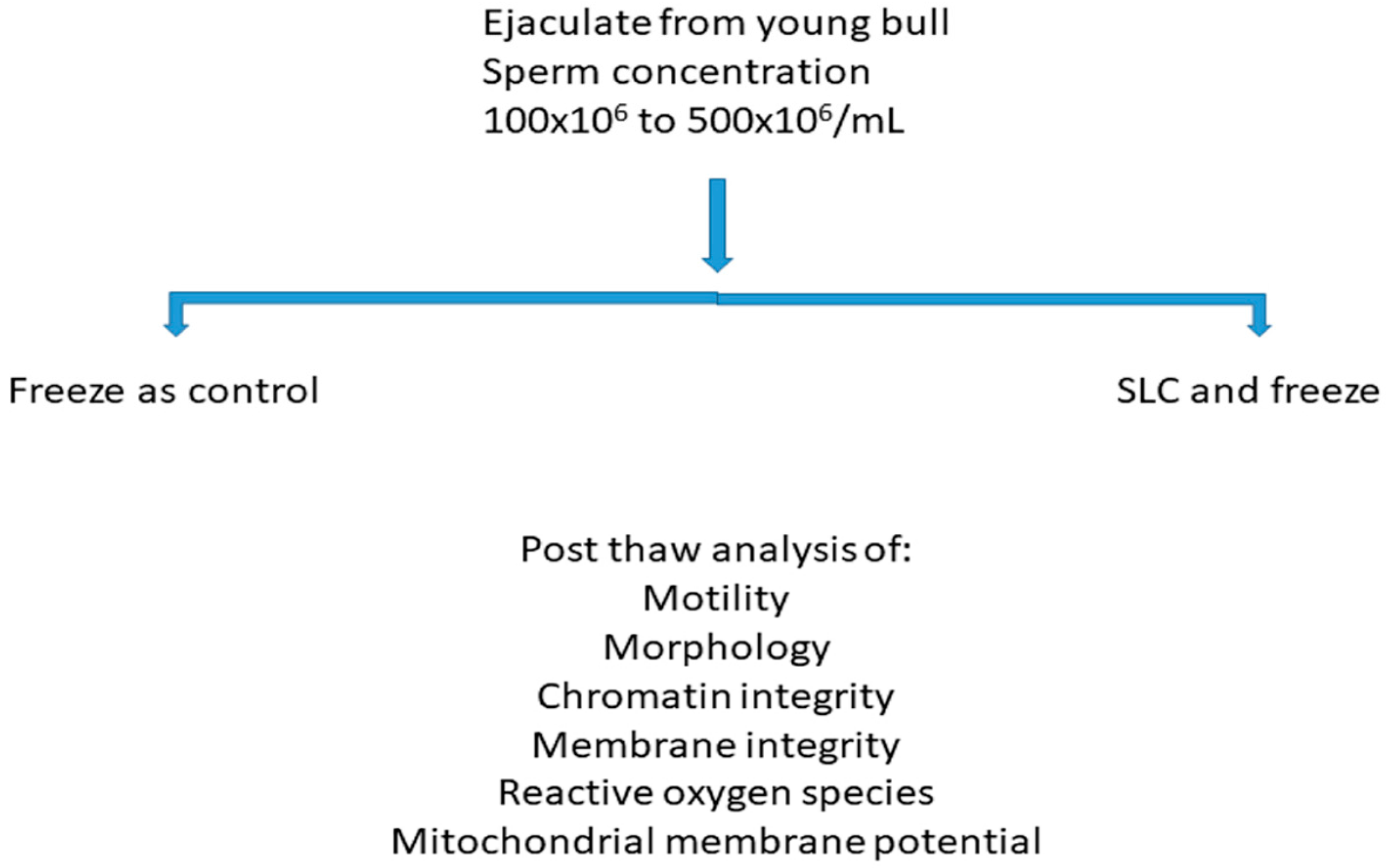 Animals 12 02435 g001 Animals 12 02435 g001