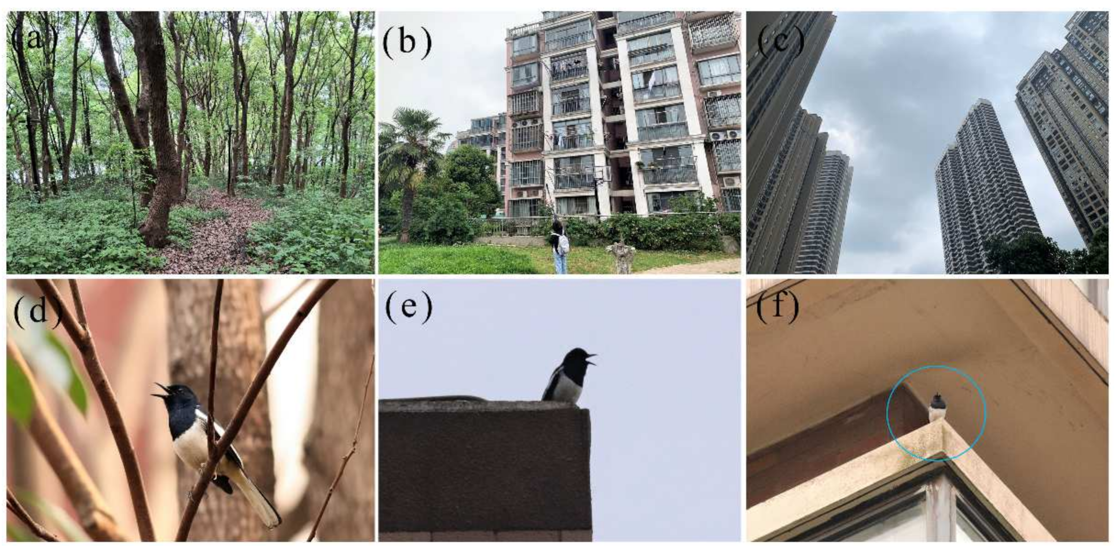 Animals 12 02436 g001 Animals 12 02436 g001