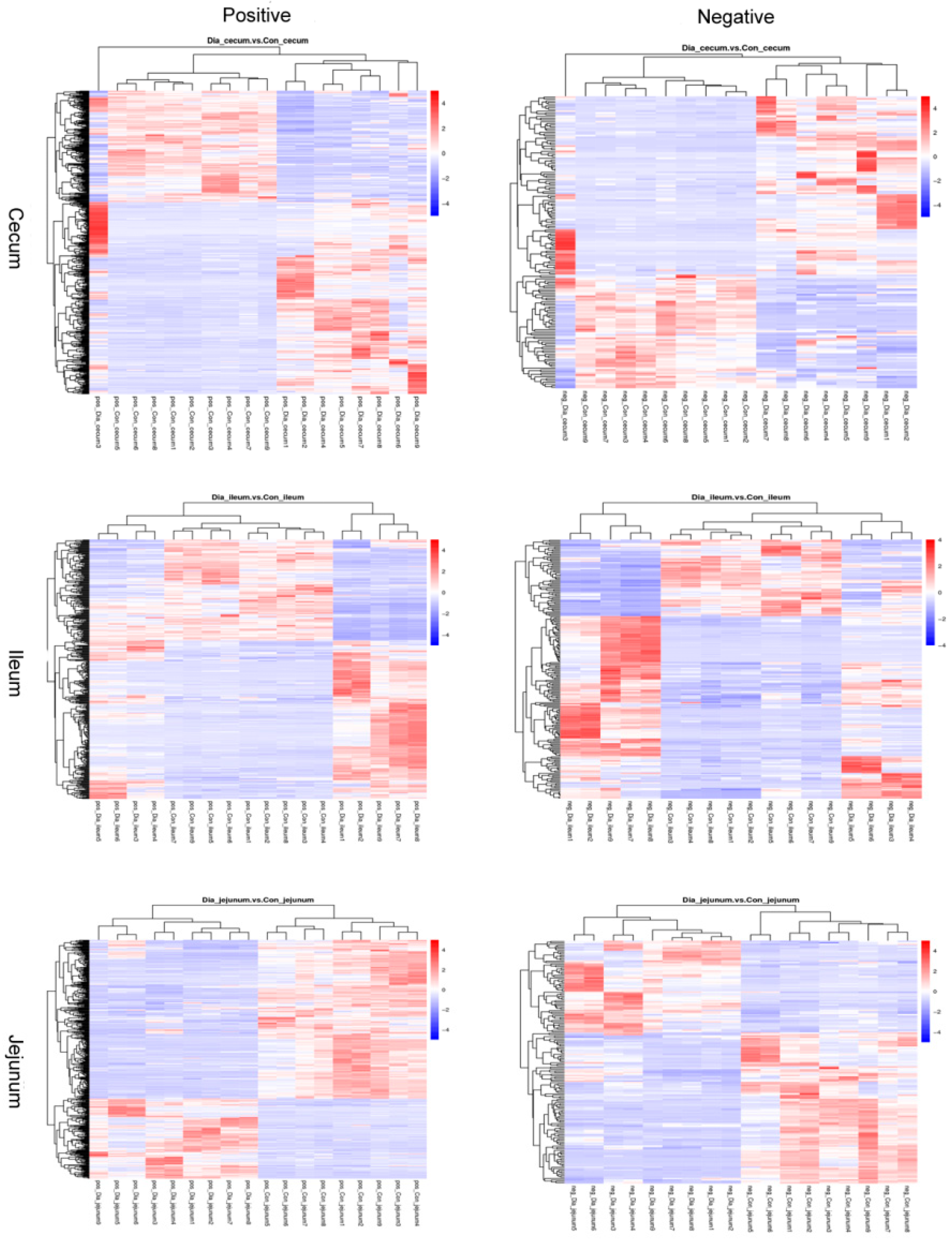 Animals 12 02438 g004 Animals 12 02438 g004