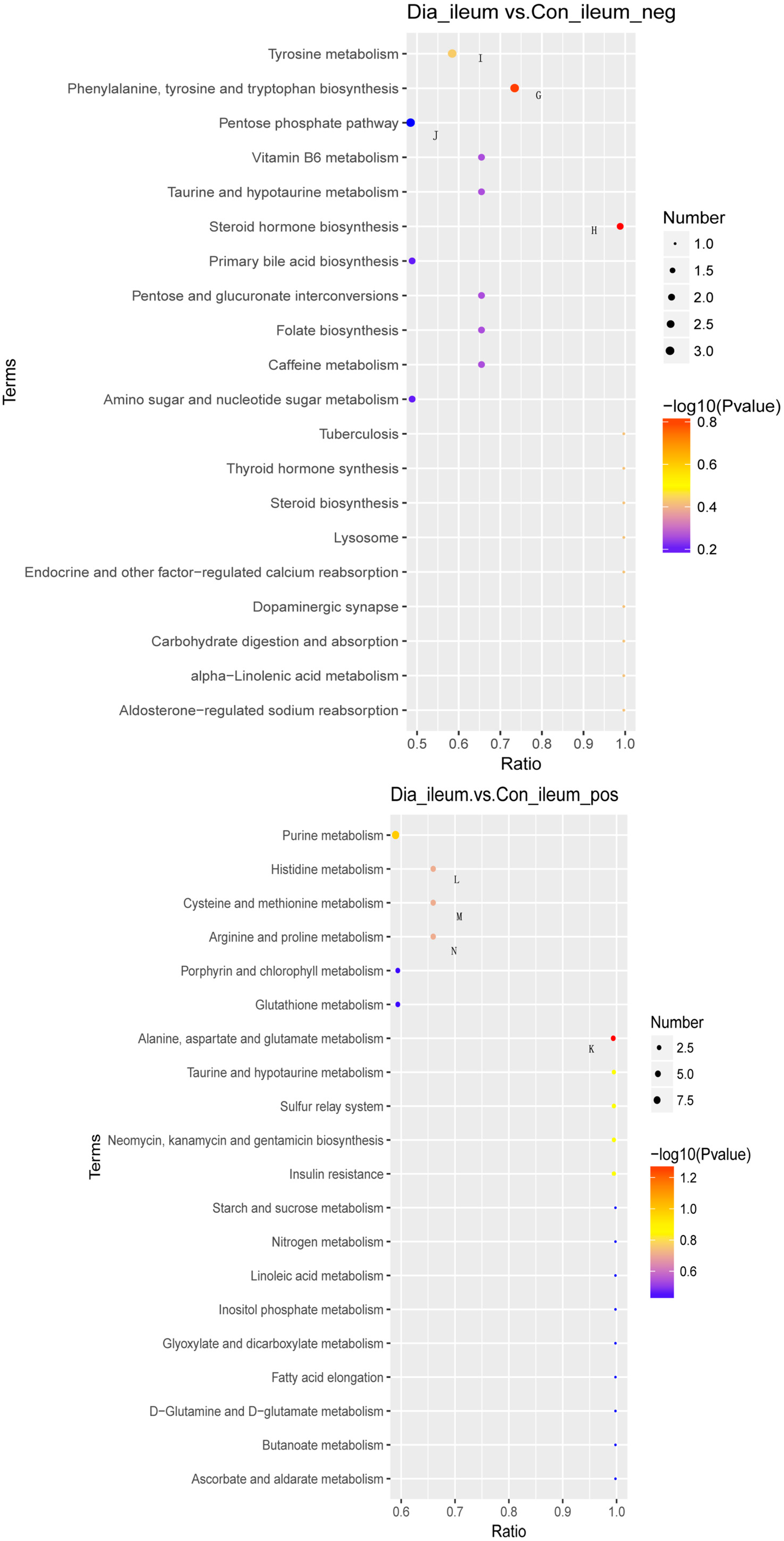 Animals 12 02438 g005b Animals 12 02438 g005b