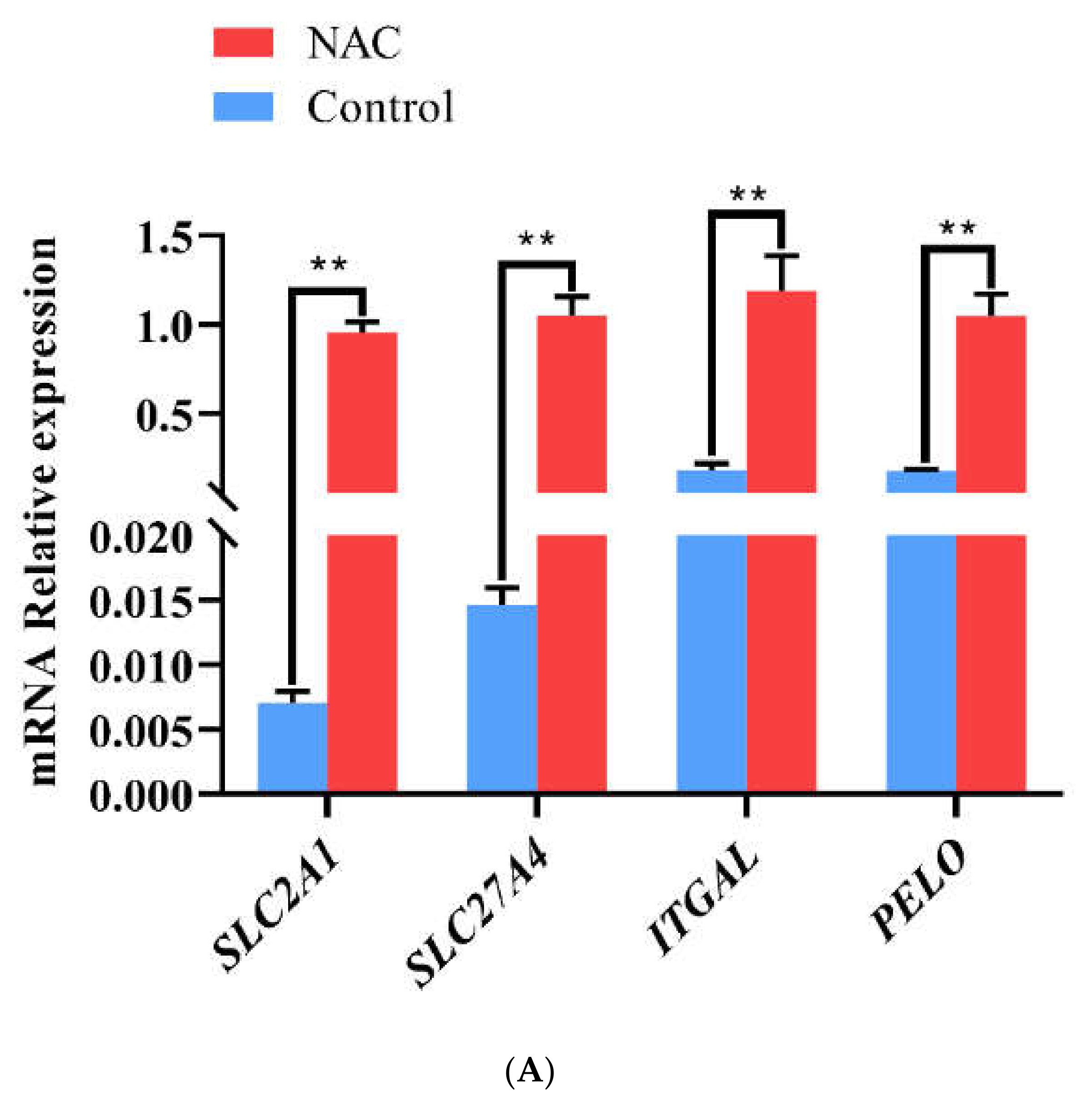 Animals 12 02439 g005a Animals 12 02439 g005a