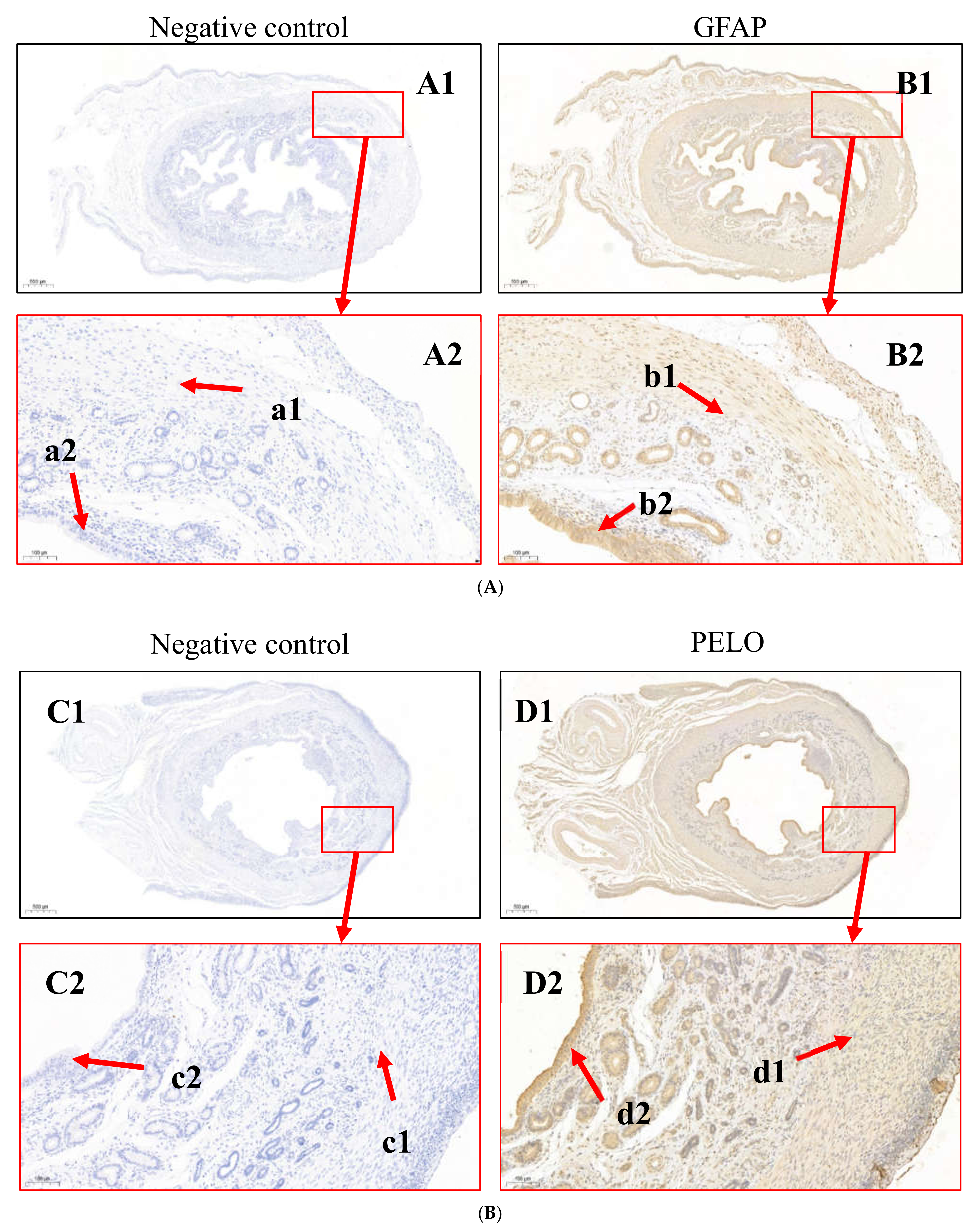 Animals 12 02439 g006 Animals 12 02439 g006