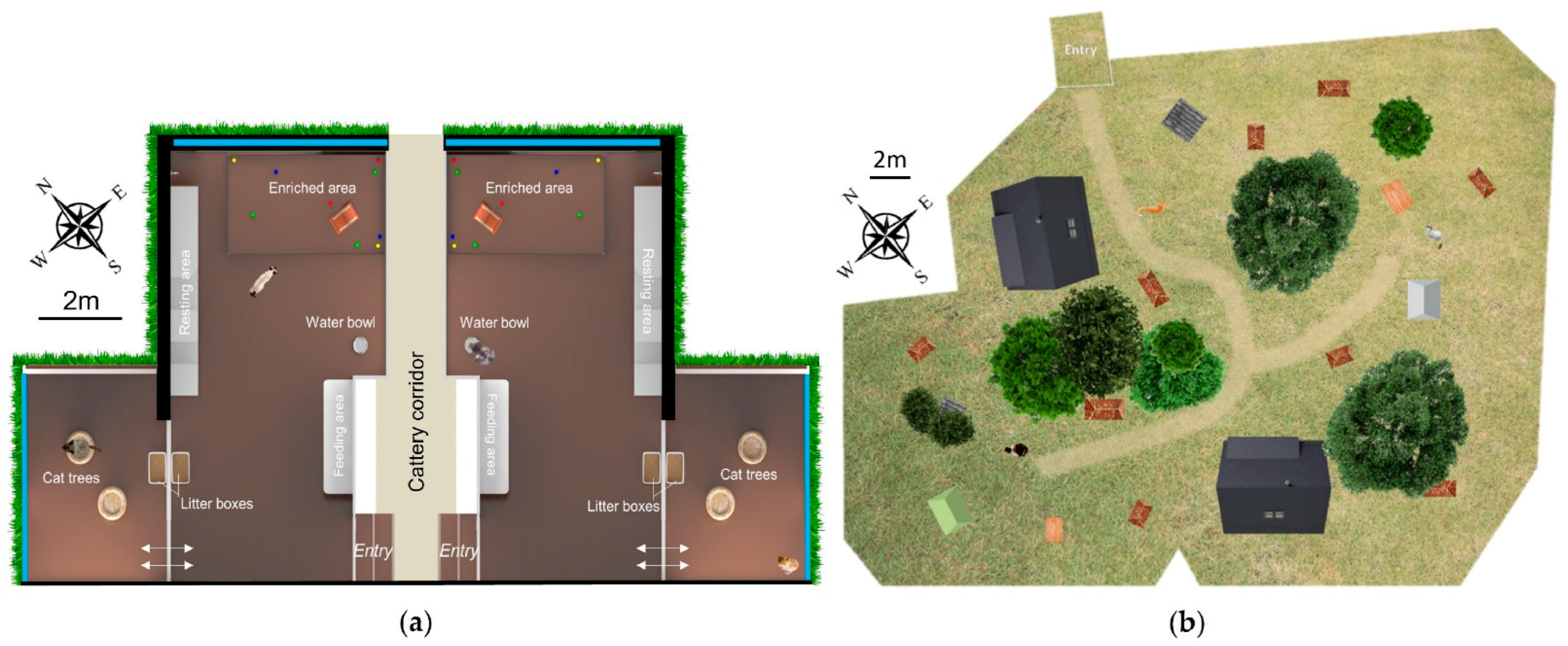 Animals 12 02440 g001