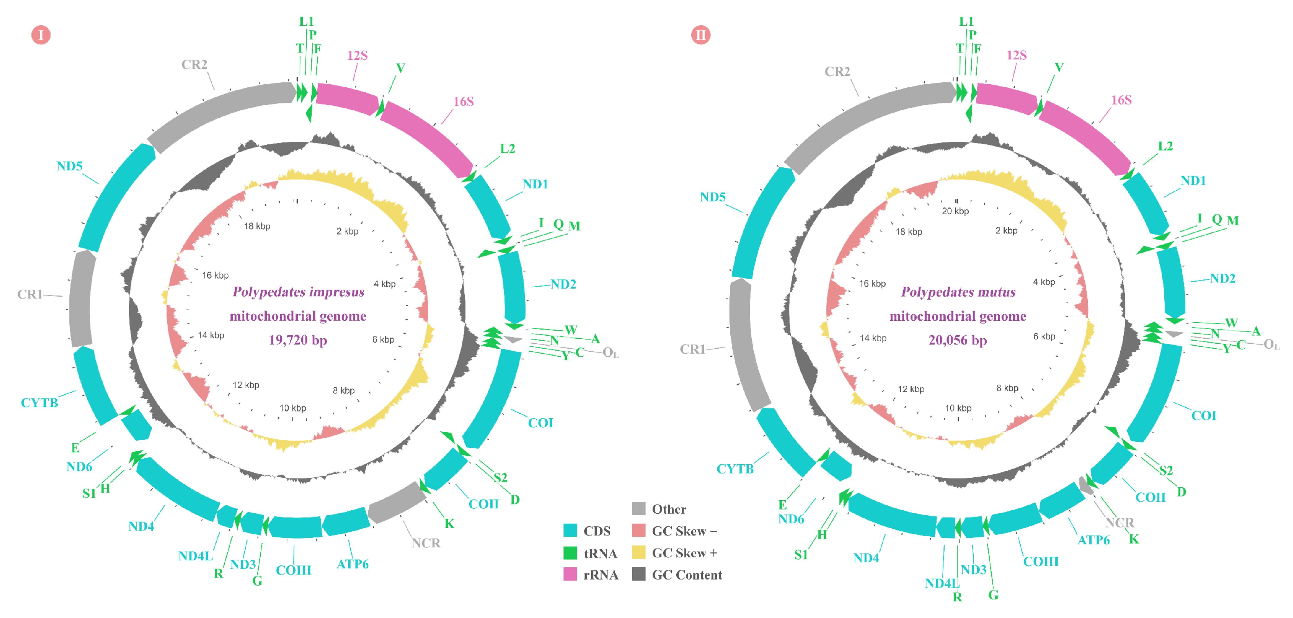 Animals 12 02449 g001
